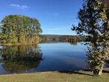 green trees beside lake under blue sky during daytime
