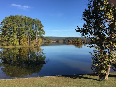 green trees beside lake under blue sky during daytime