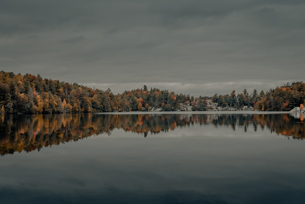 green trees near body of water under cloudy sky during daytime