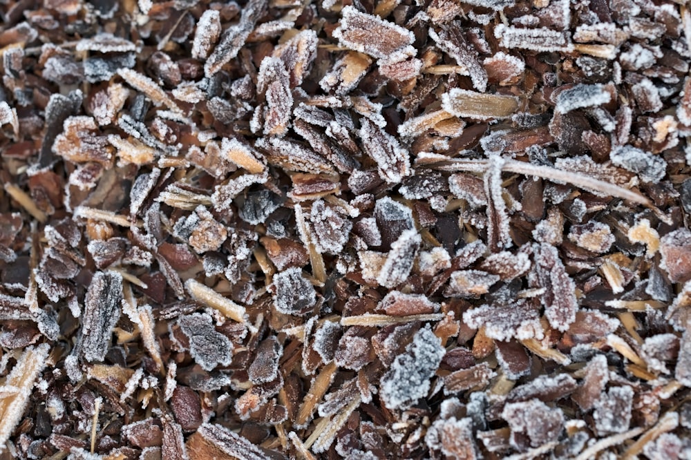 brown and gray dried leaves