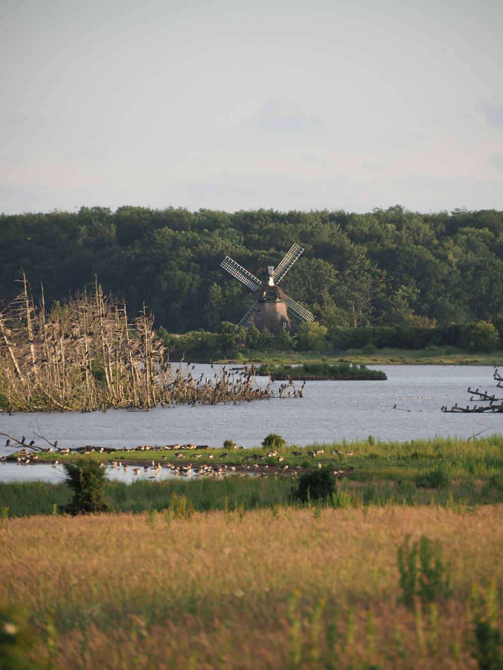 Braune und weiße Windmühle in der Nähe von grünem Grasfeld und Gewässer tagsüber