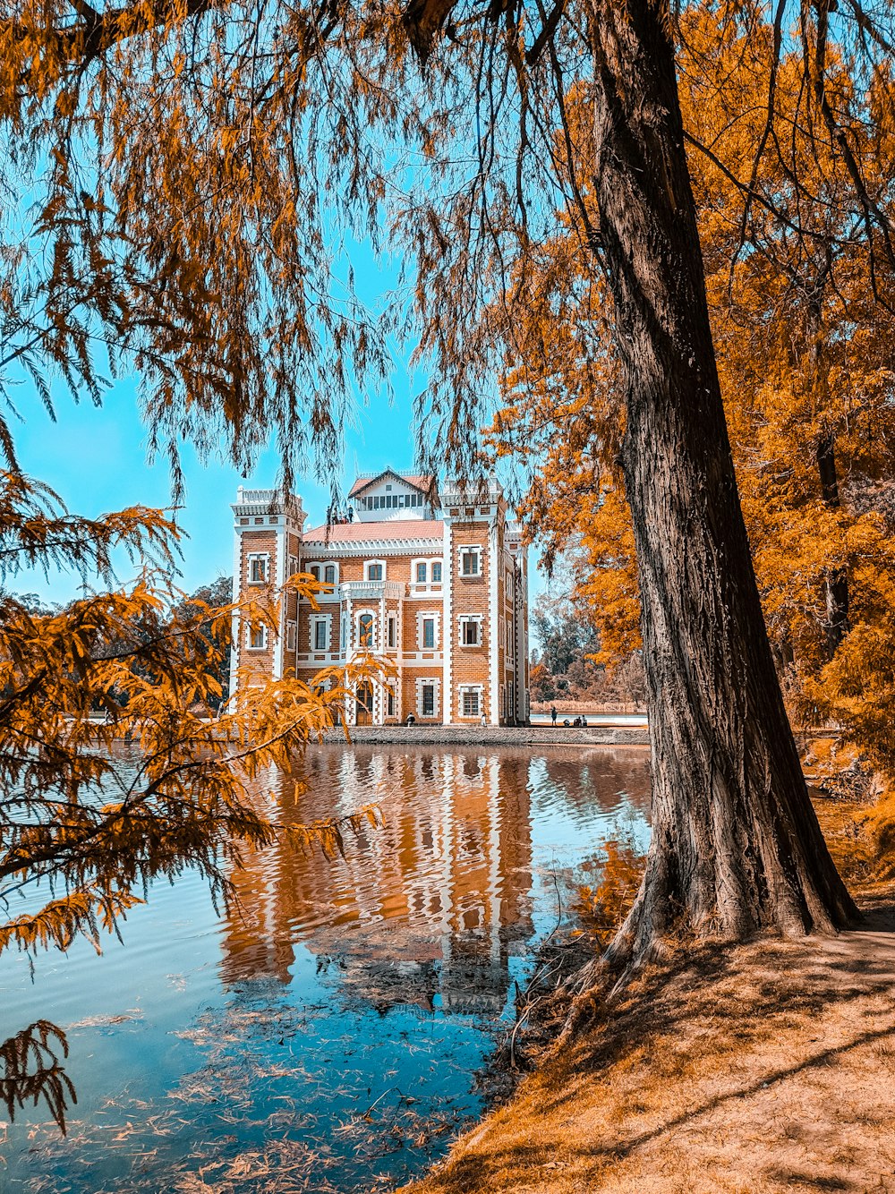 brown concrete building near body of water during daytime