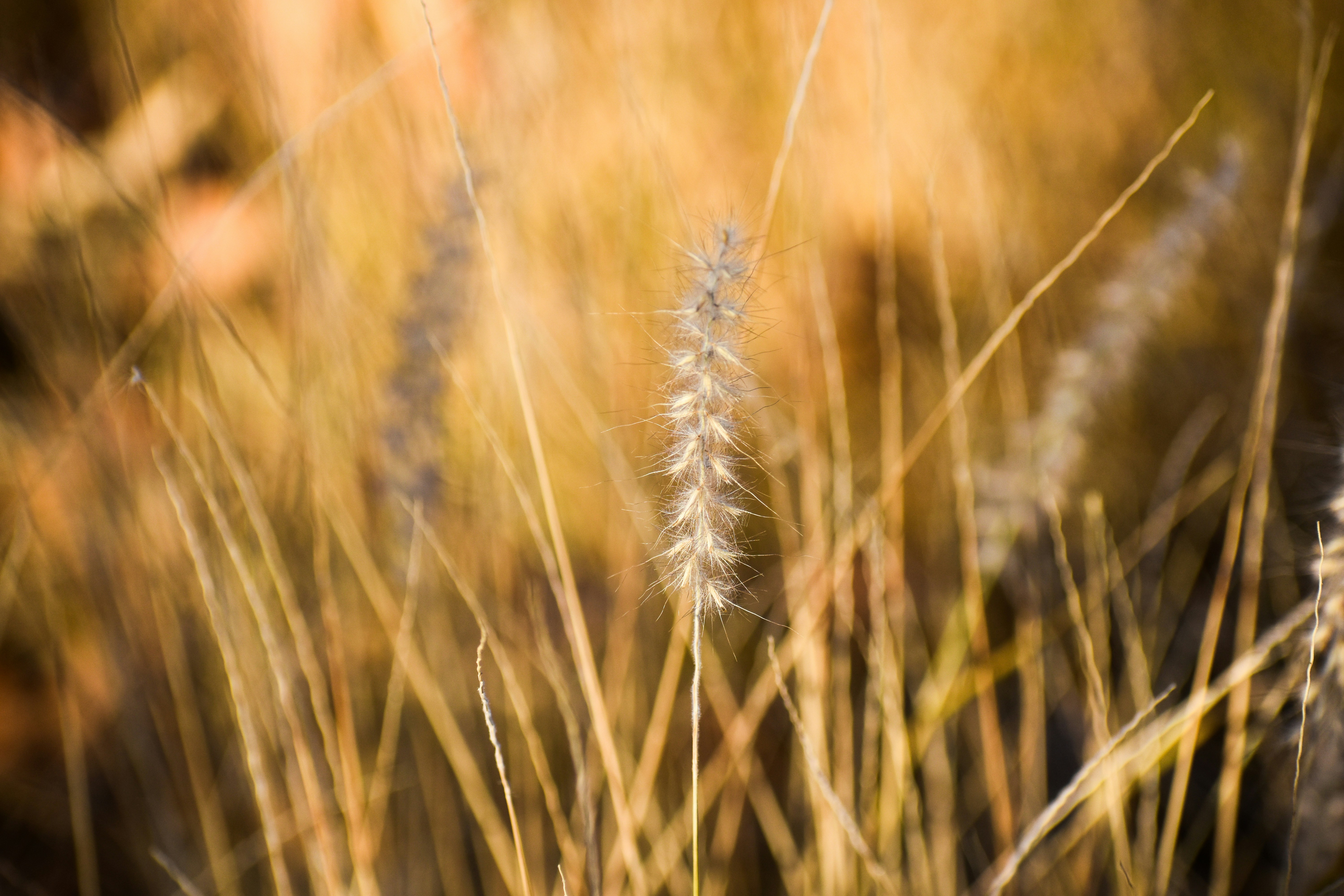 Photo by elisastonephotography