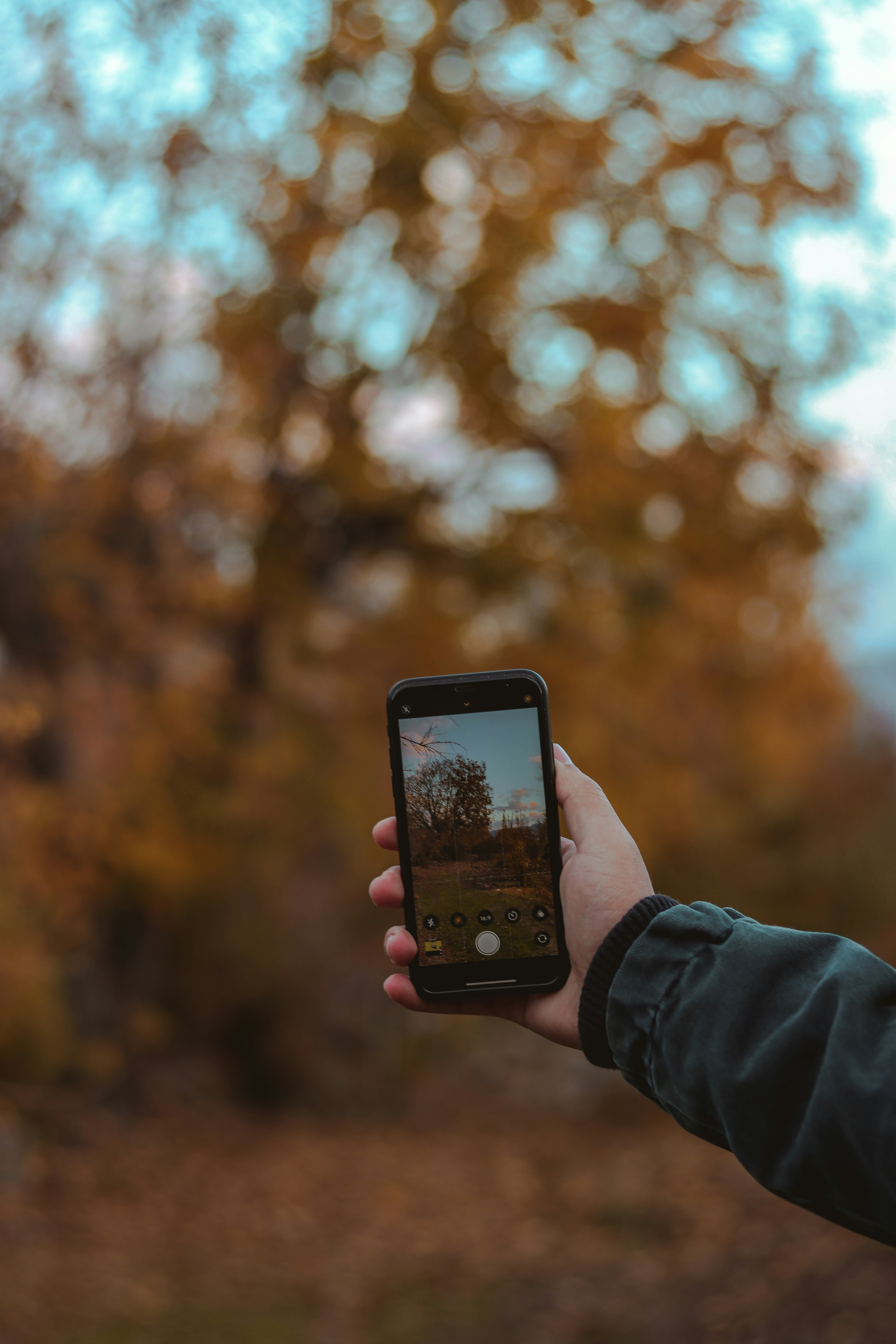 Photo by triven_samir96