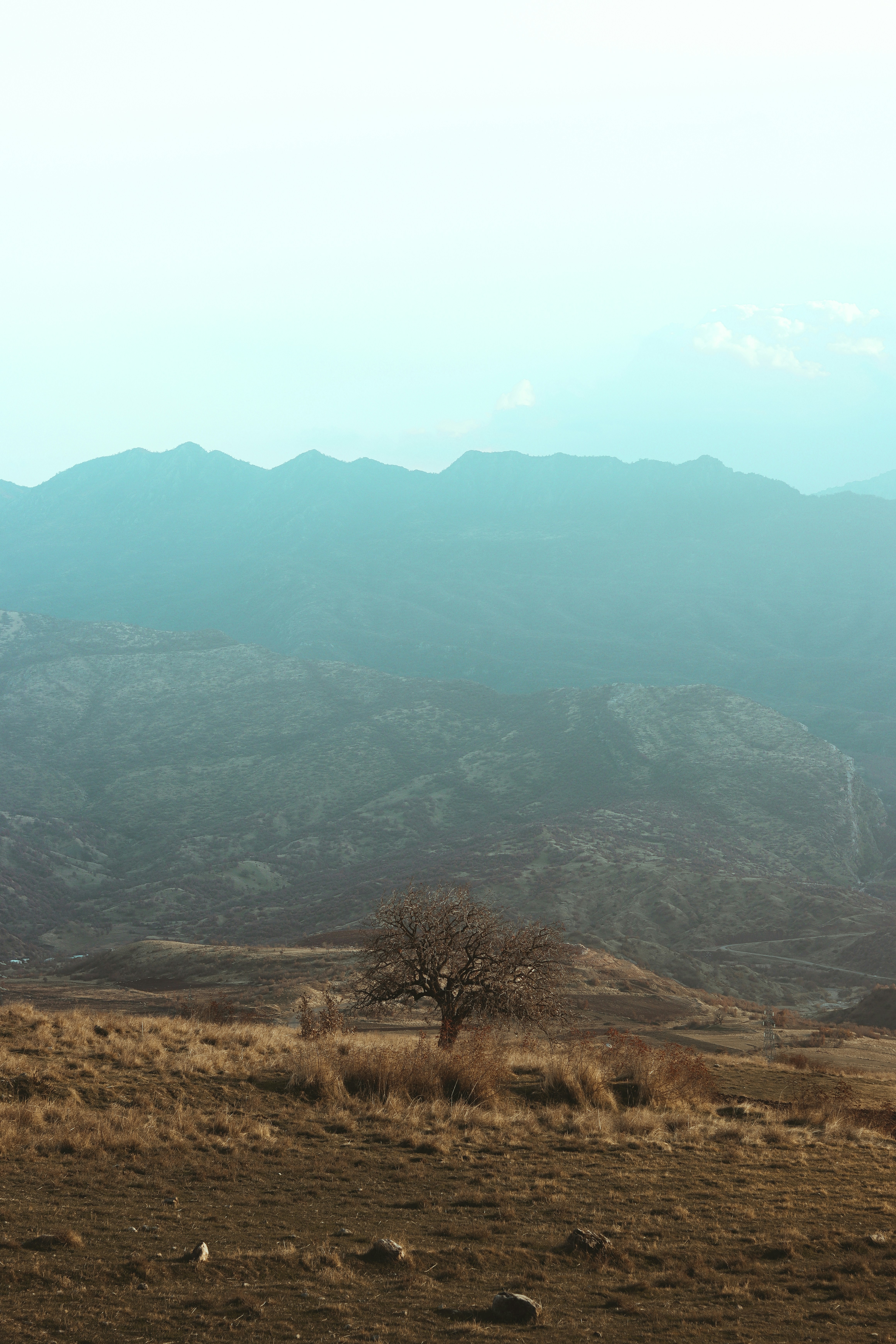 Photo by triven_samir96