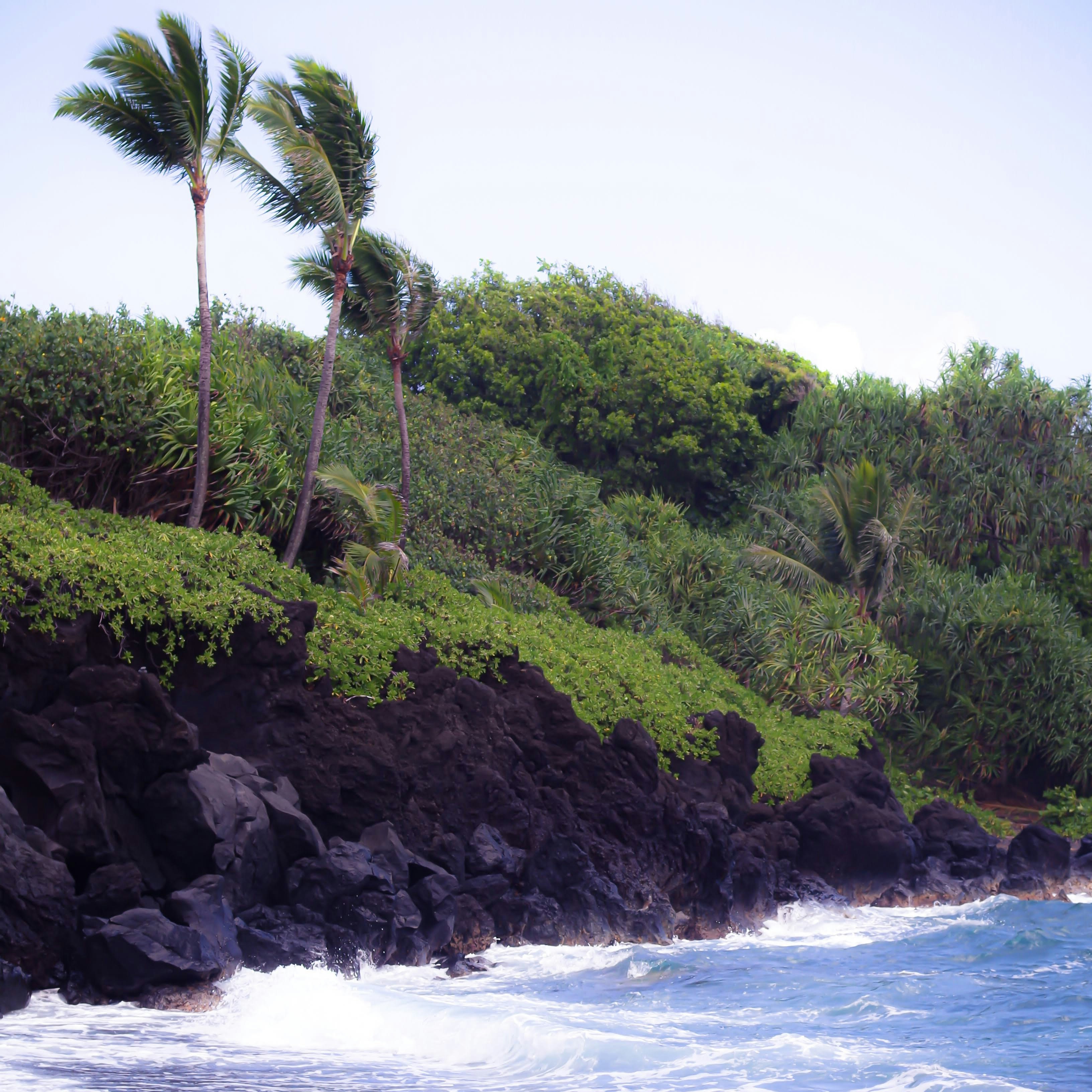 Photo by valkyriepierce