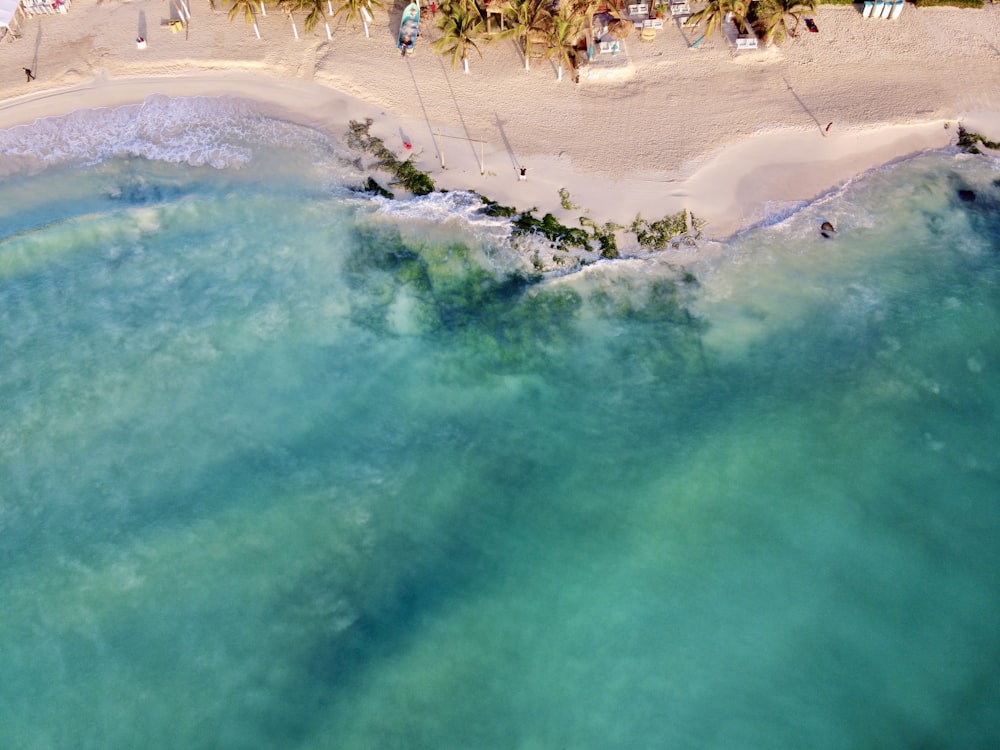 Gente en la playa durante el día