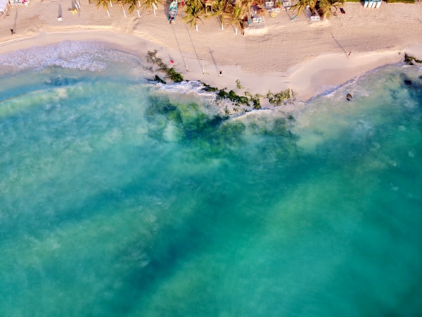 Upptäck den vackraste stranden i Playa del Carmen