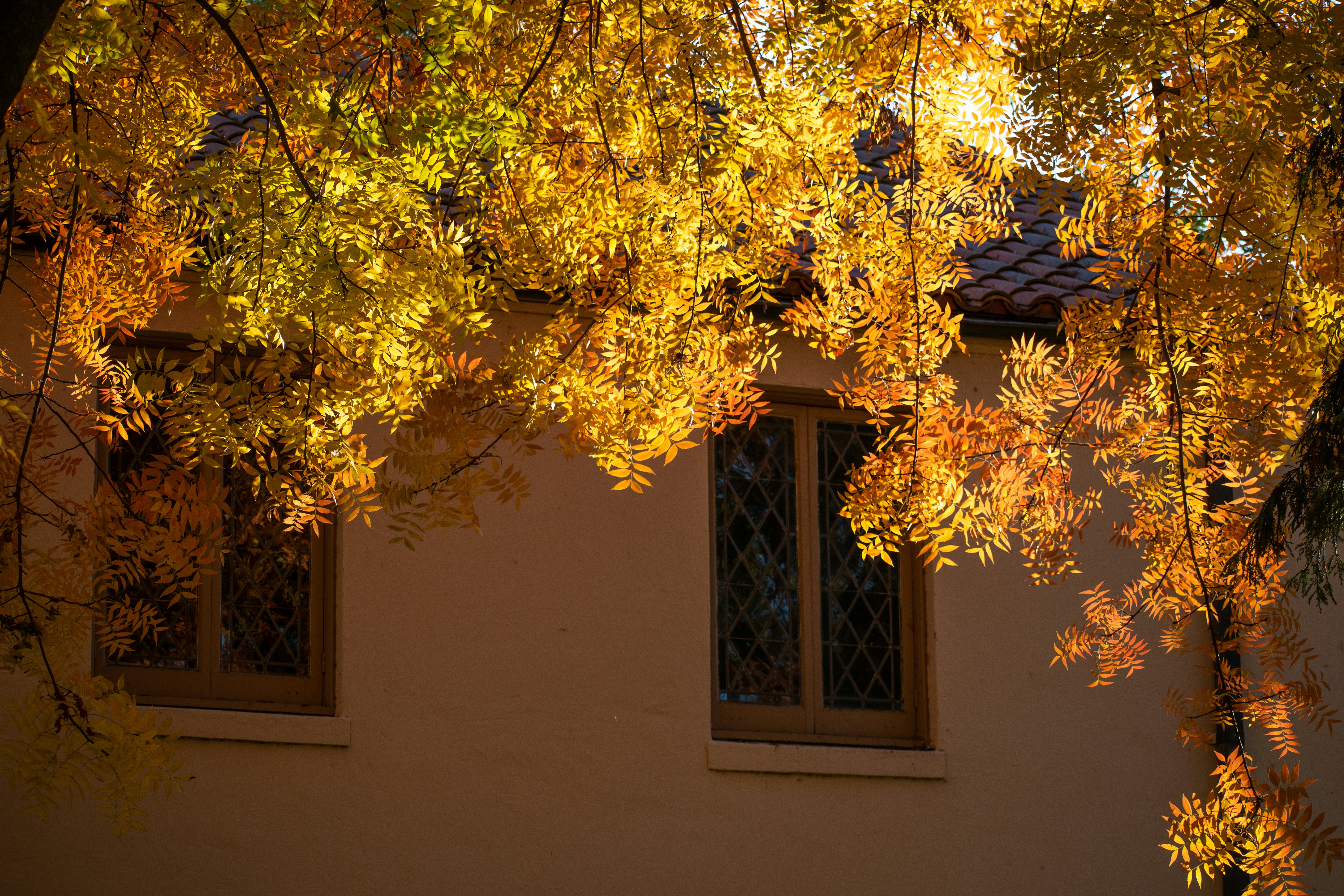 Photo by elisastonephotography