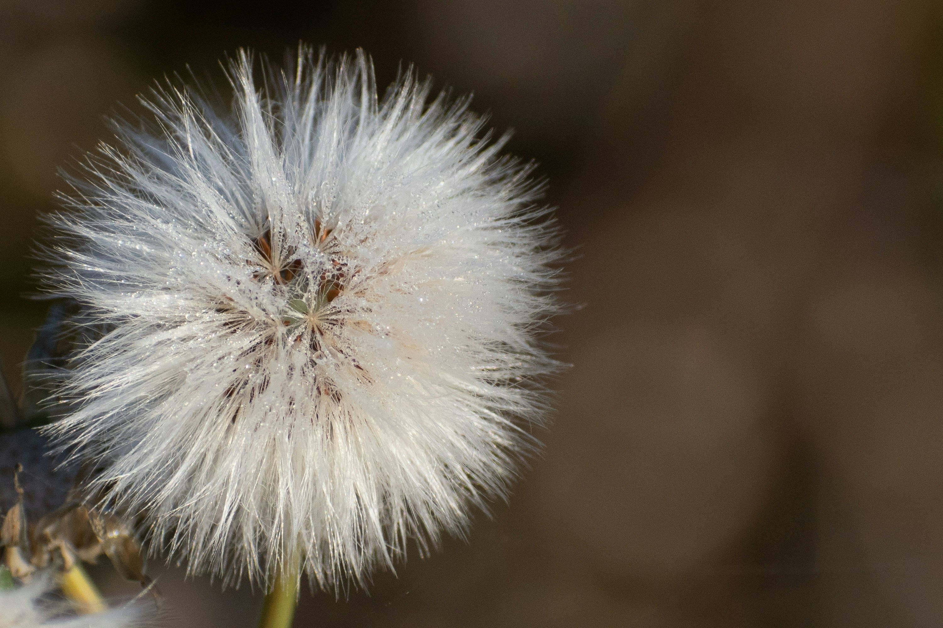 Photo by elisastonephotography