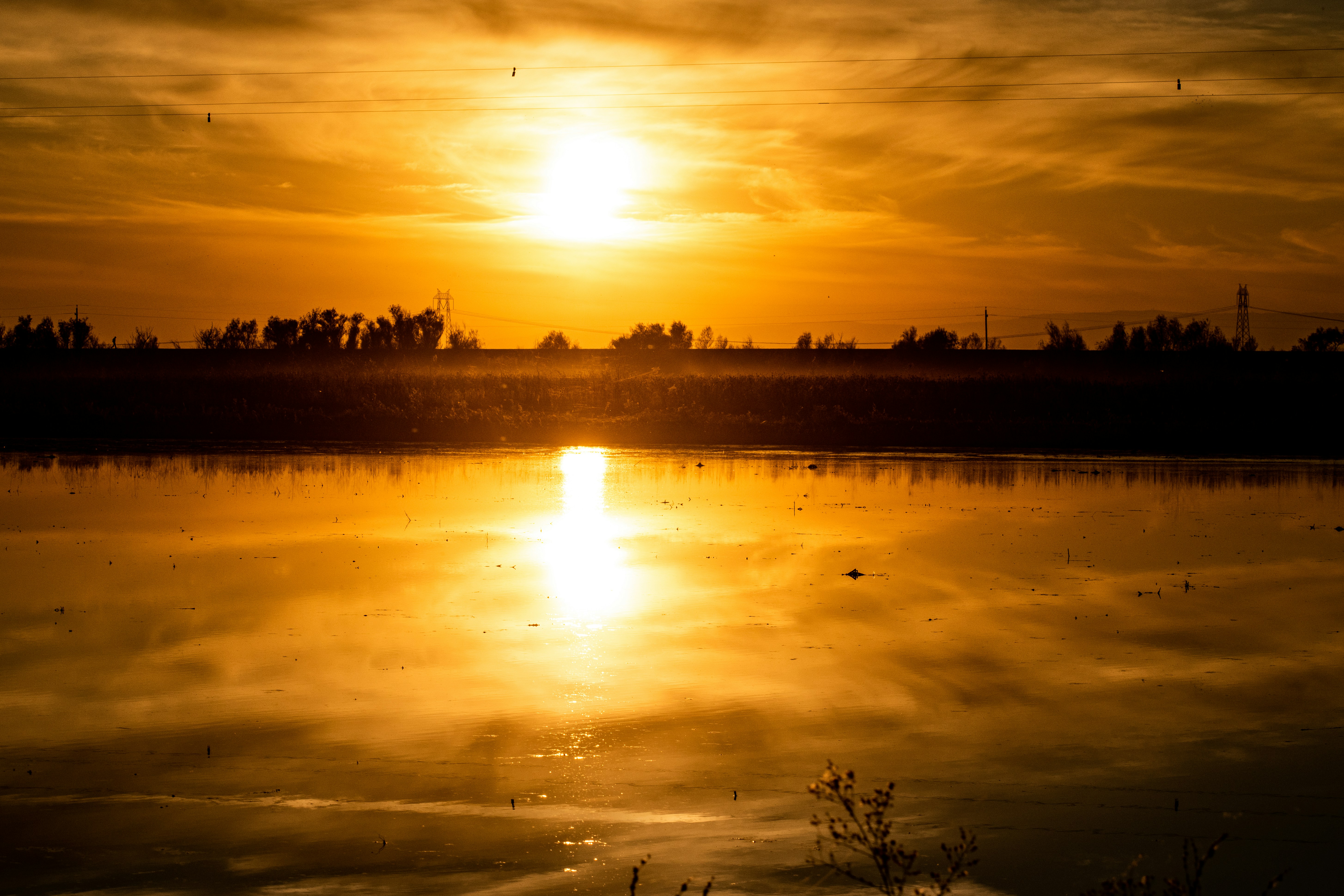 Photo by elisastonephotography