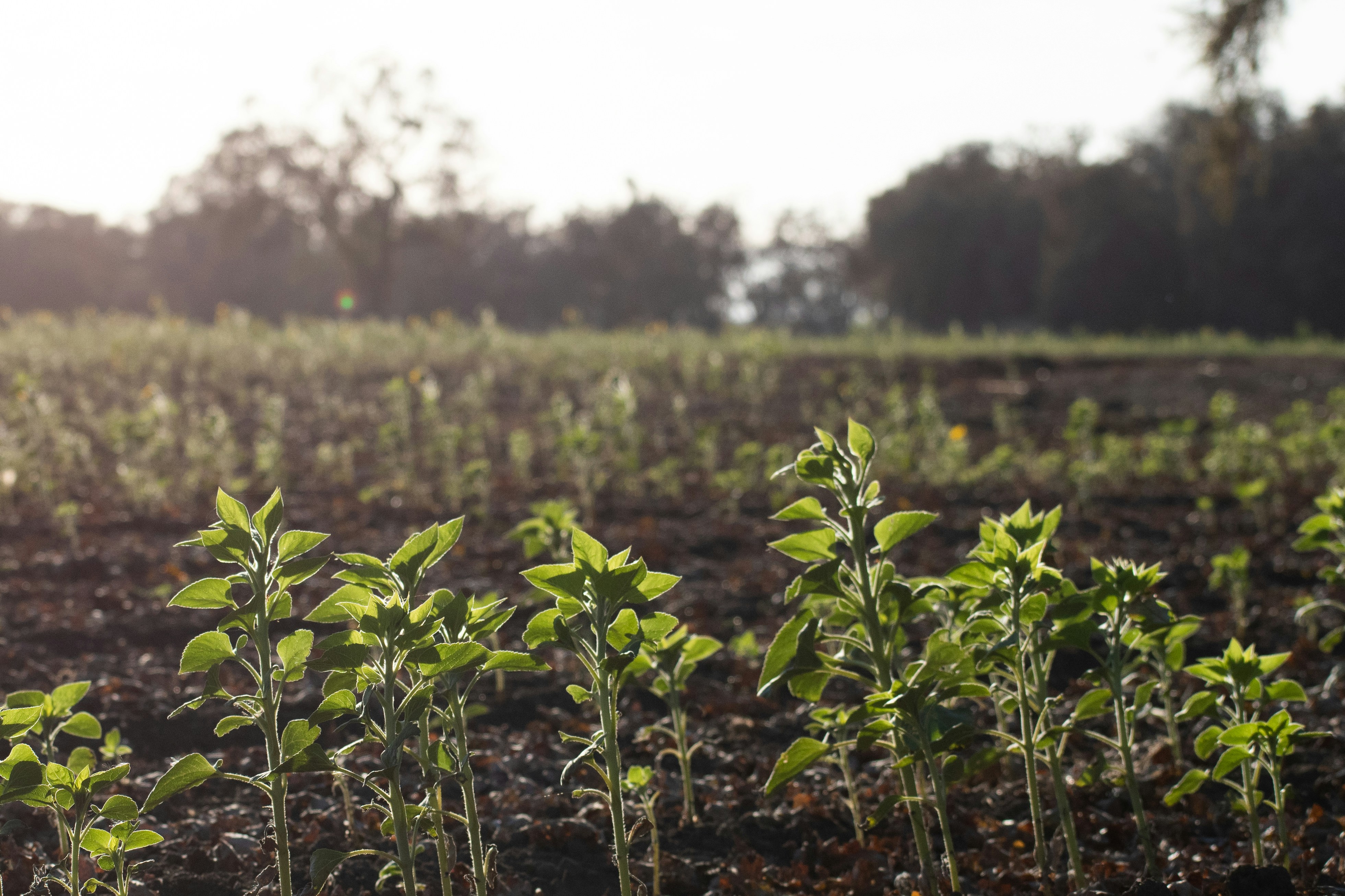 Photo by elisastonephotography