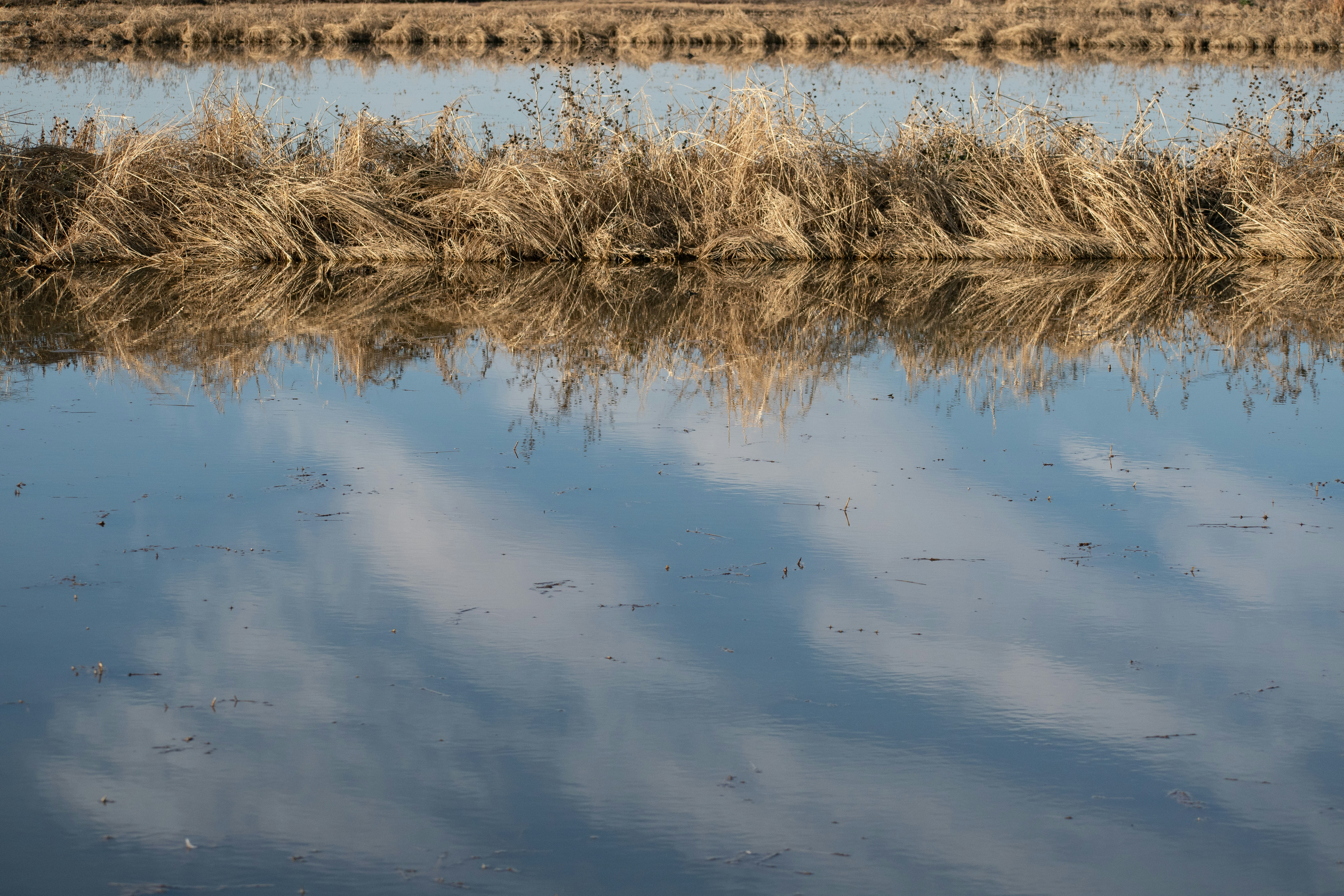 Photo by elisastonephotography