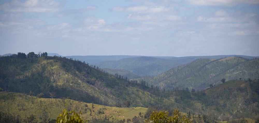 green trees on mountain under white sky during daytime