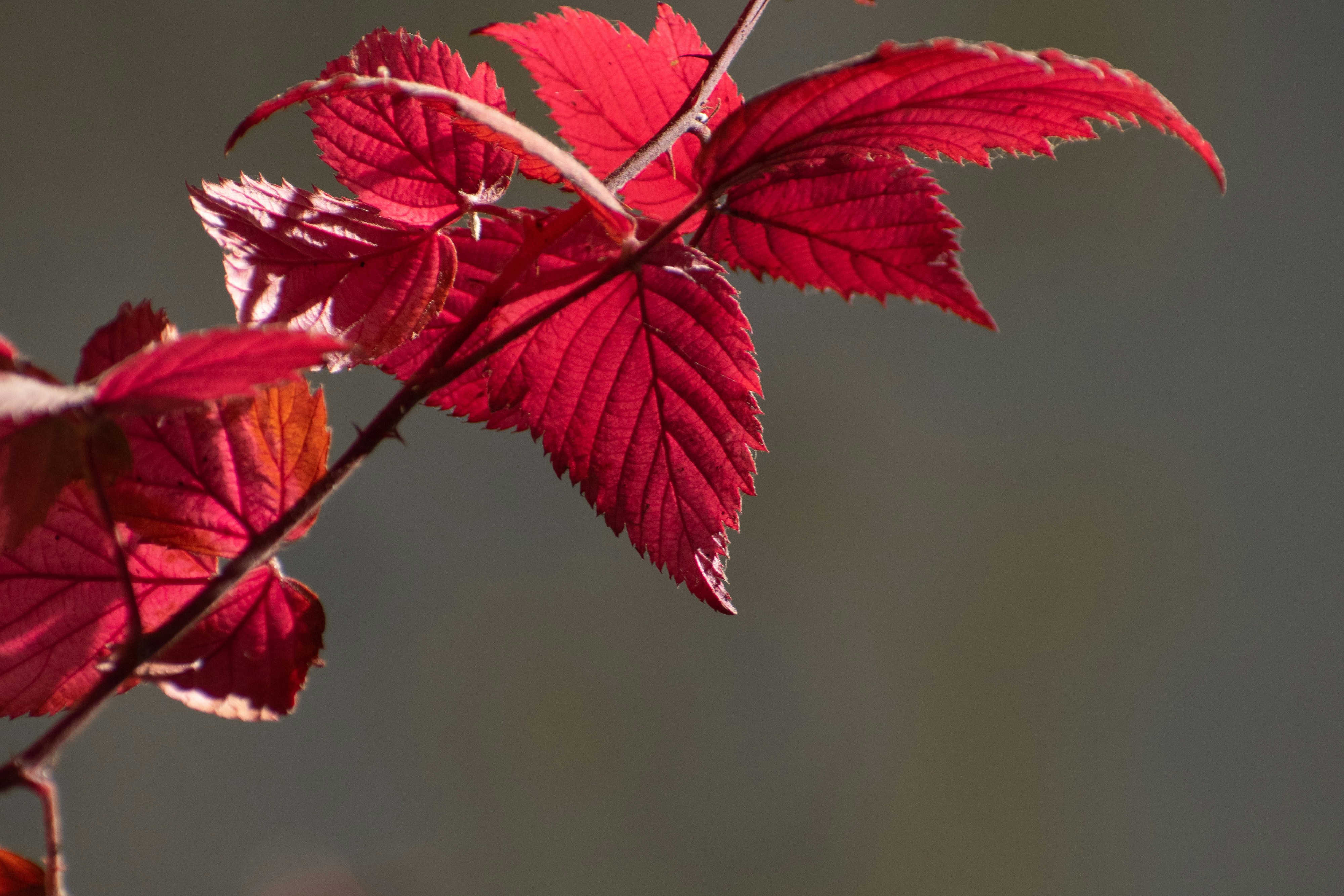 Photo by elisastonephotography