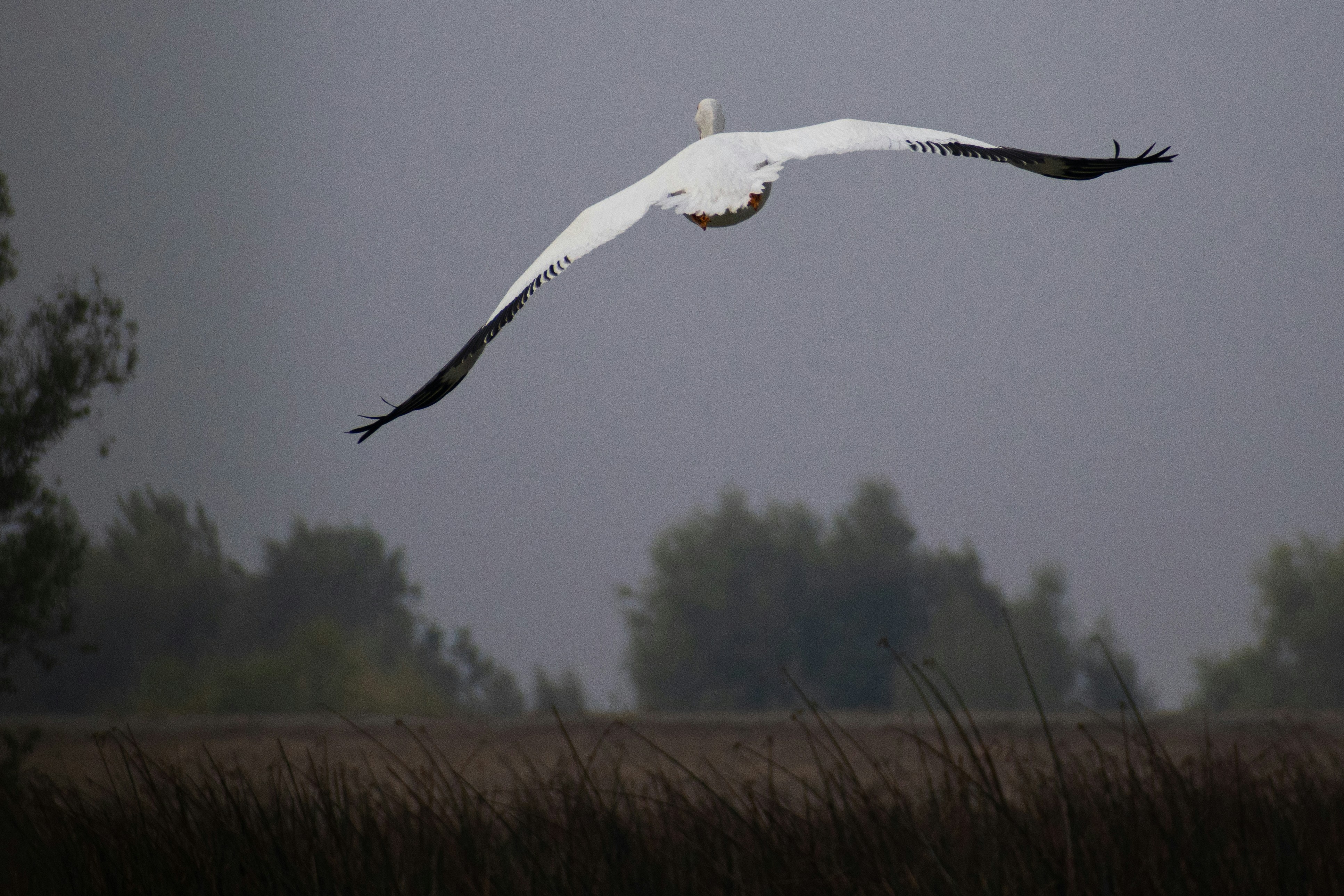 Photo by elisastonephotography