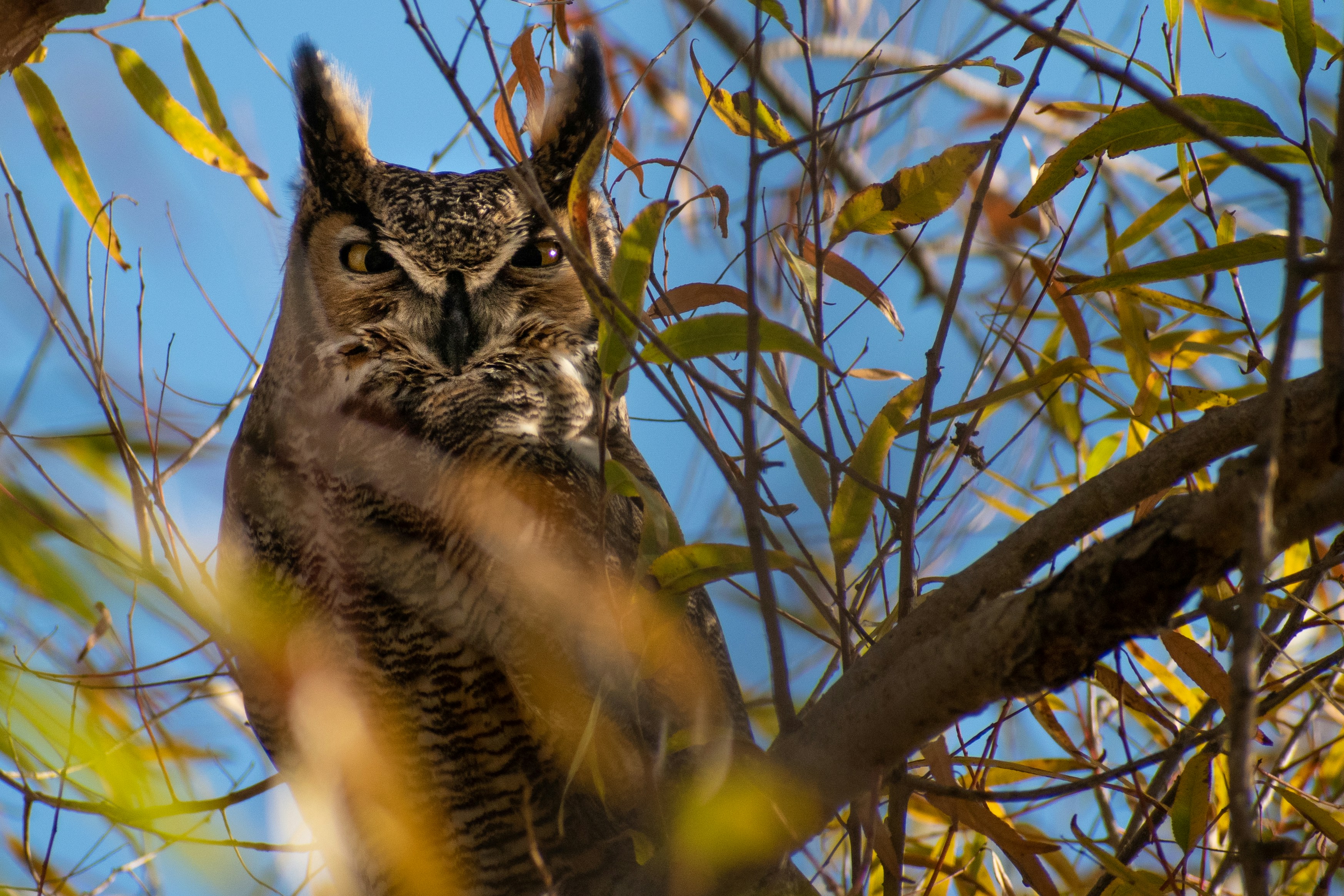 Photo by elisastonephotography