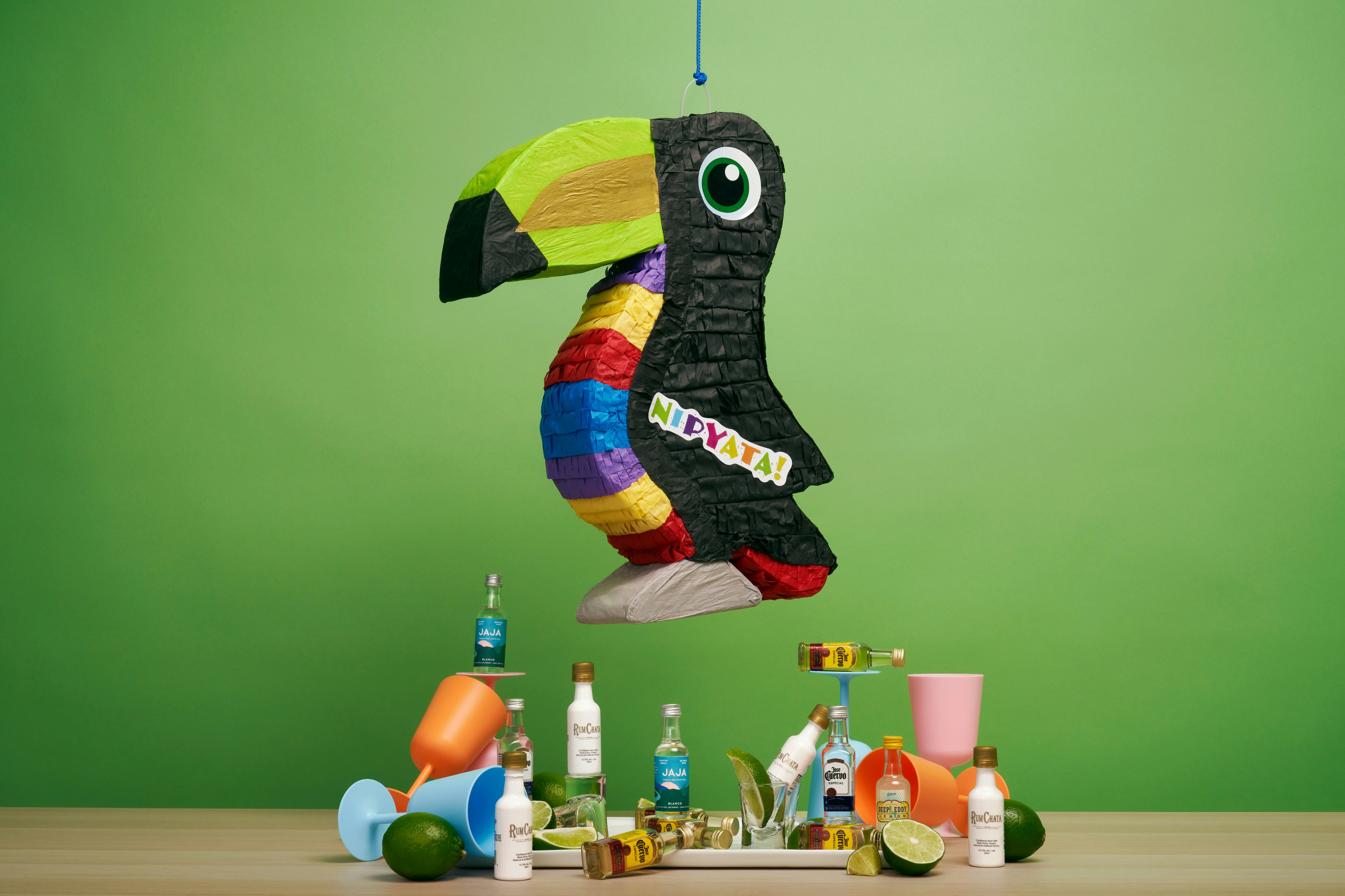 Parrot playing with colorful enrichment toys
