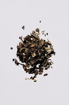 black and white birds flying