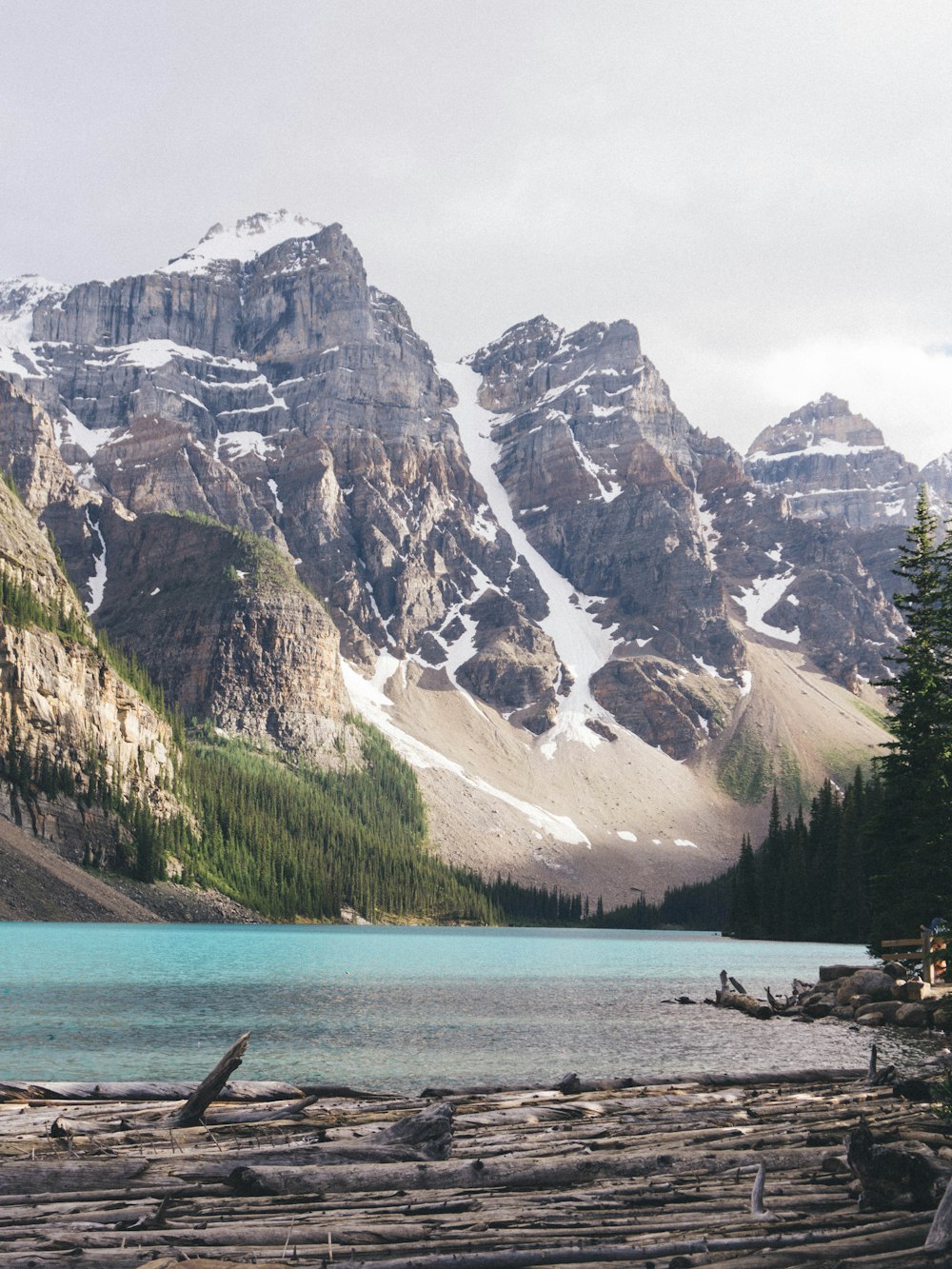 green trees near body of water and snow covered mountain during daytime