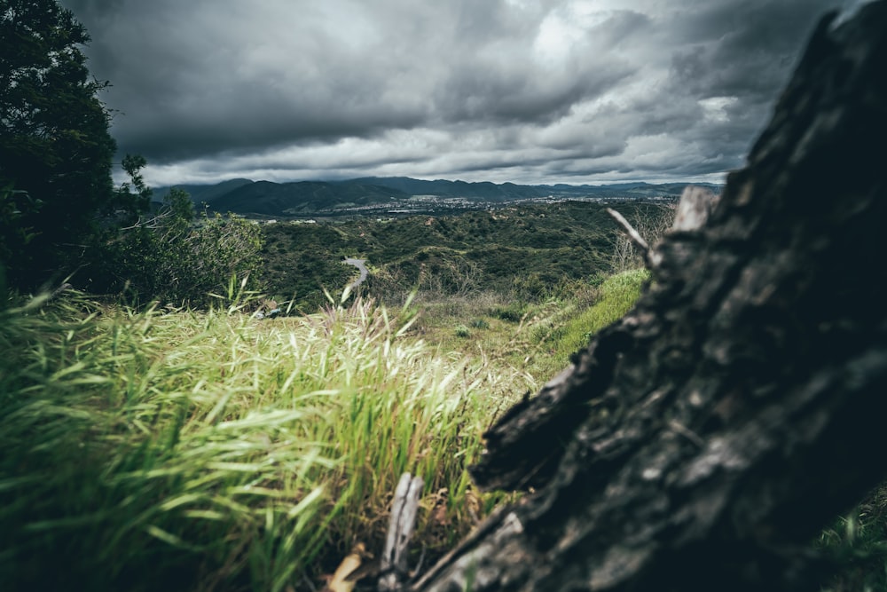 green grass field under cloudy sky during daytime