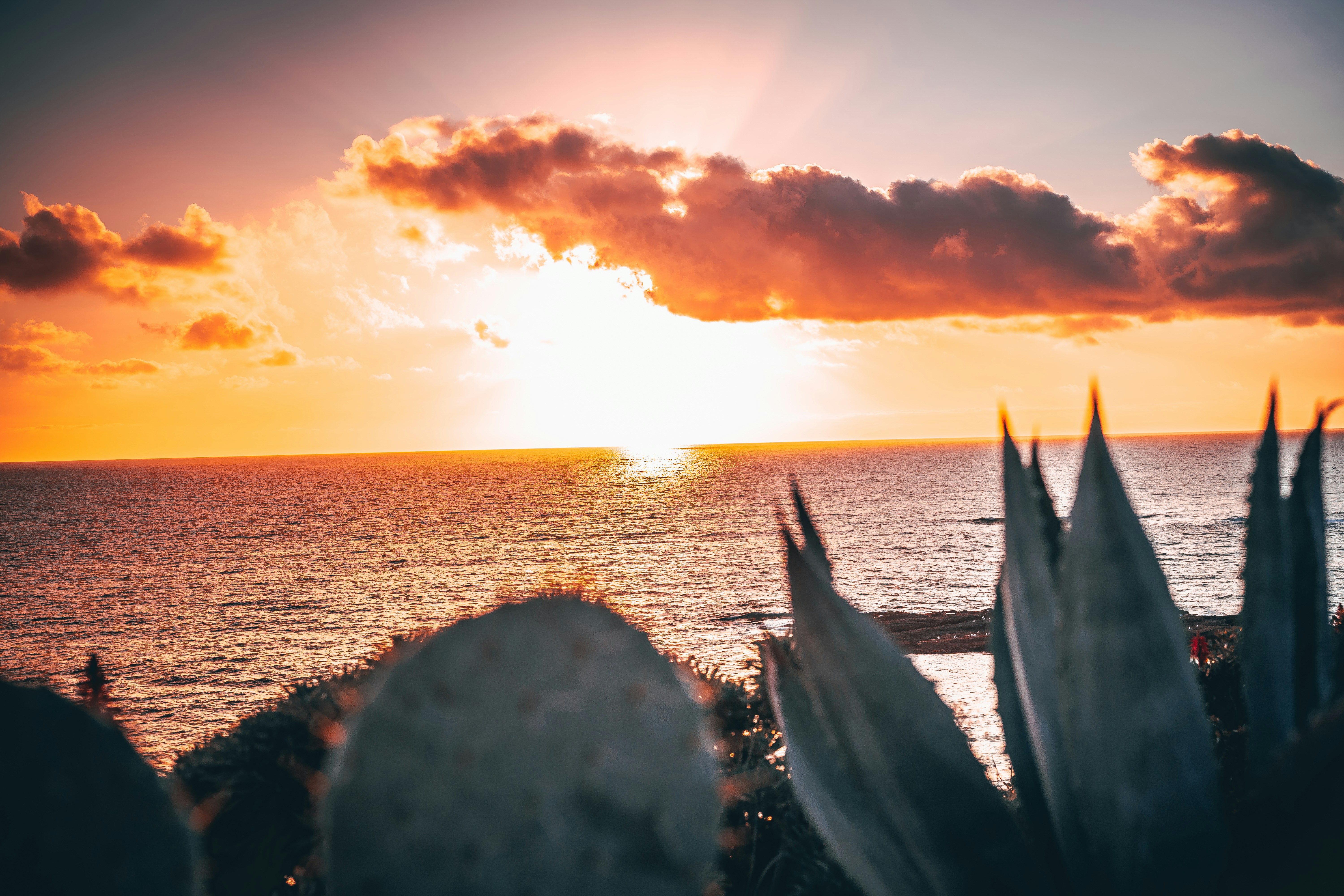 Photo by marty_made_it