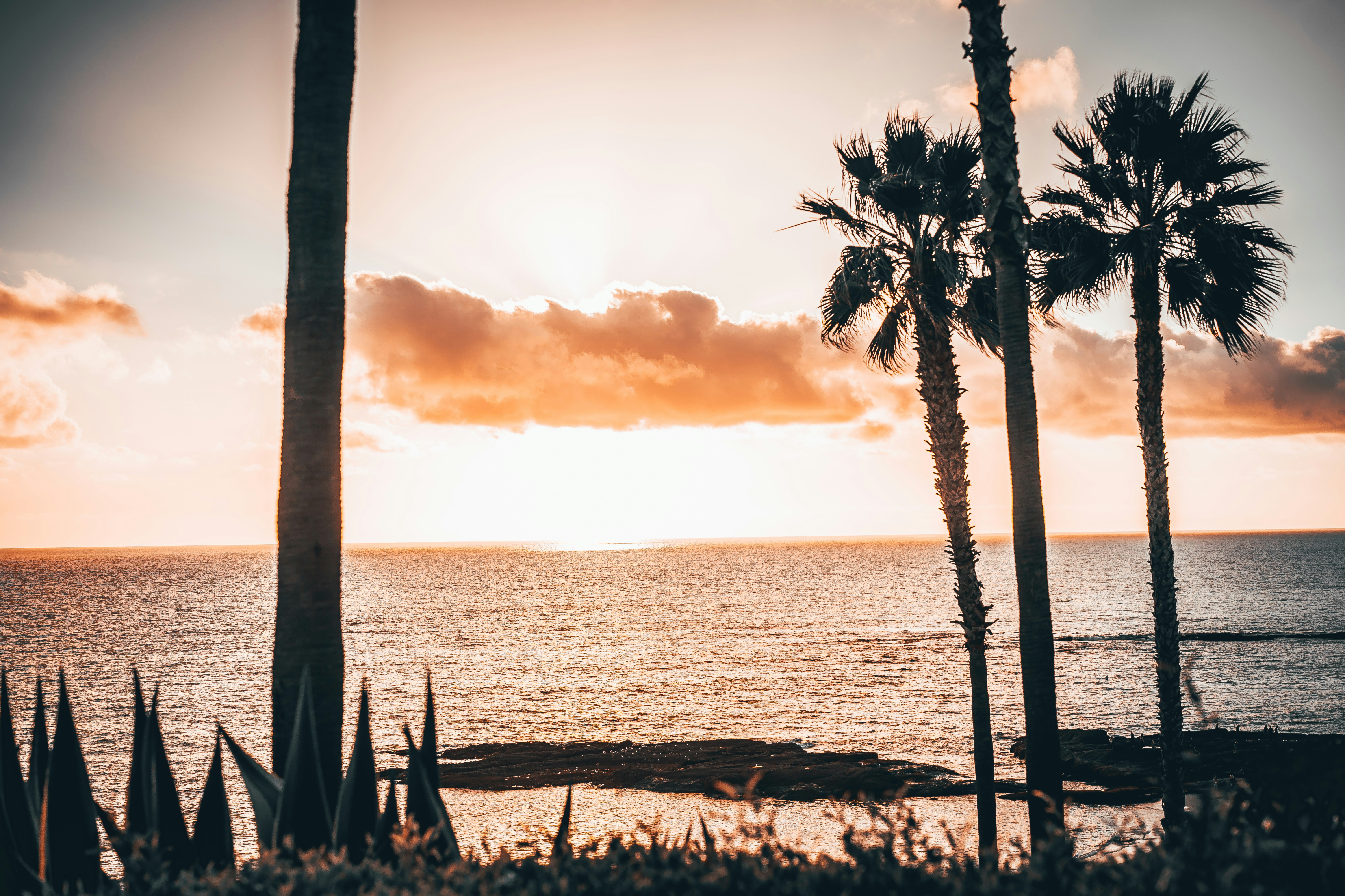 Photo by marty_made_it