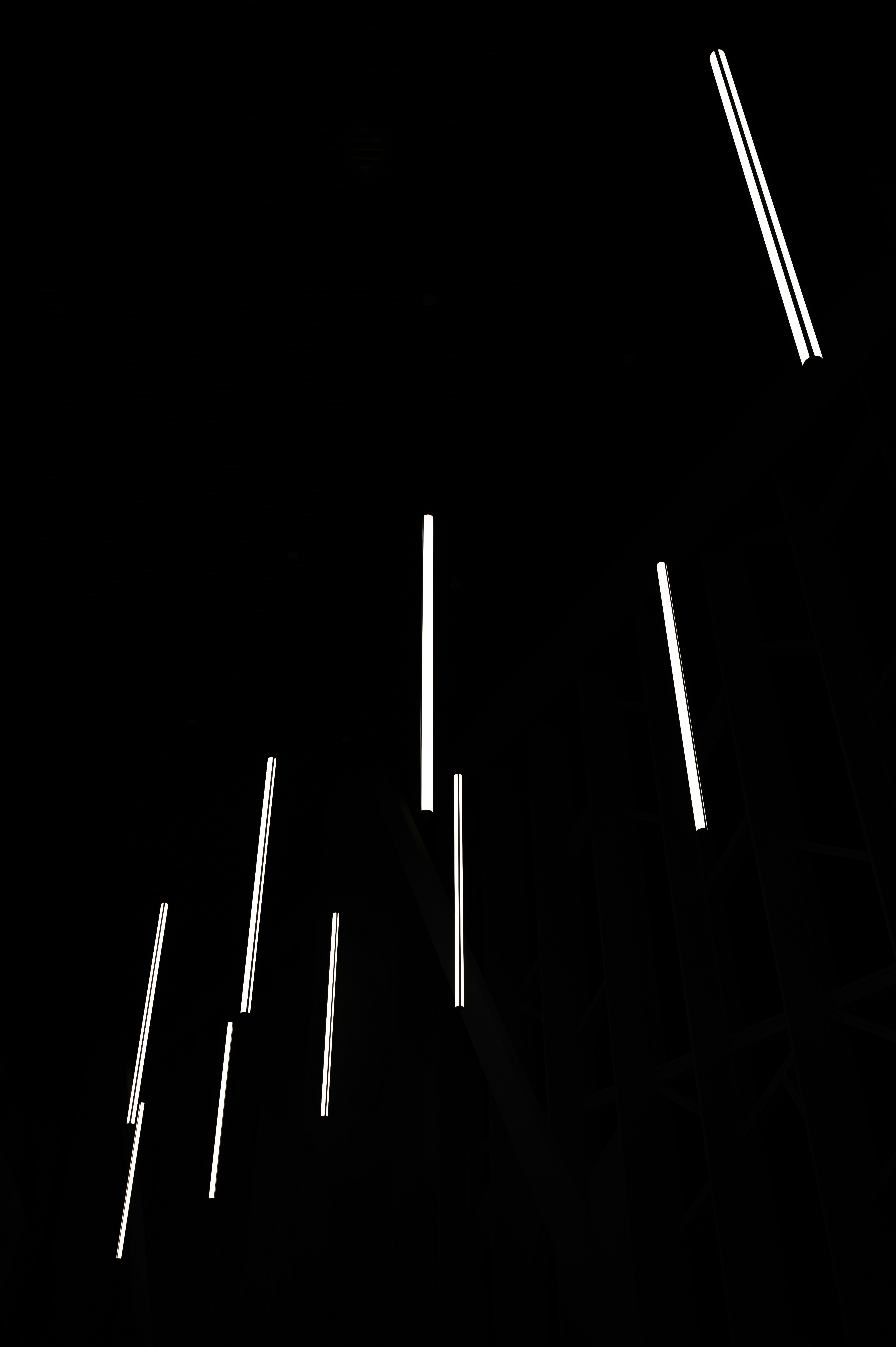 Photo by ryunosuke_kikuno