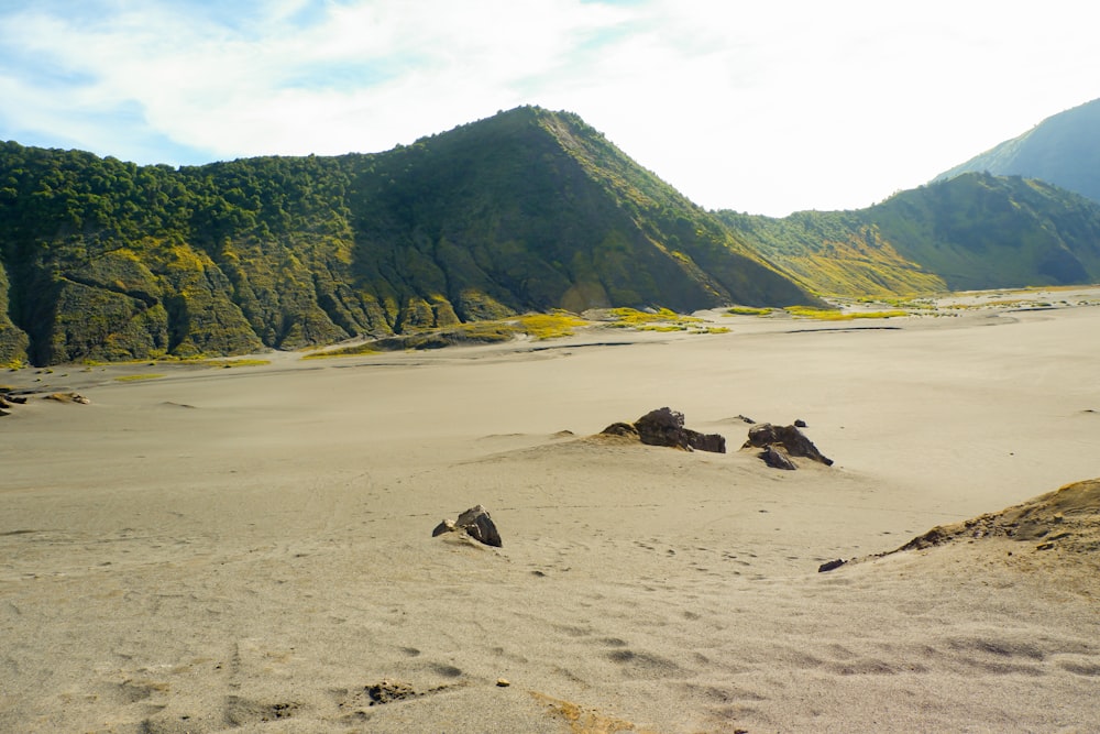 Montaña verde cerca del cuerpo de agua durante el día