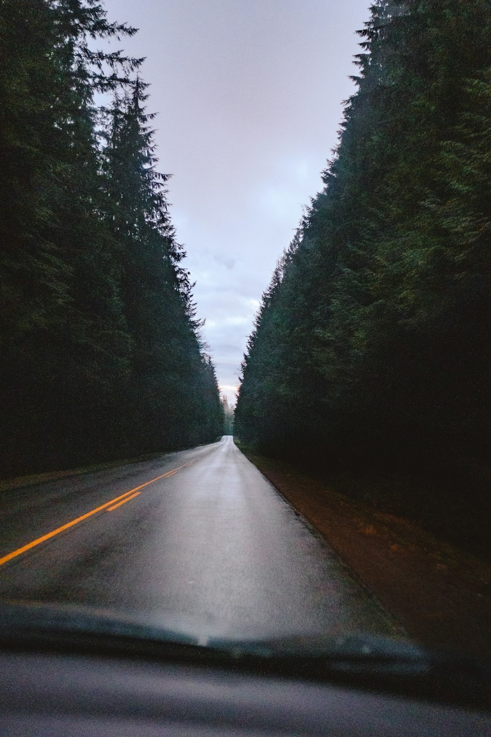 gray concrete road between green trees during daytime