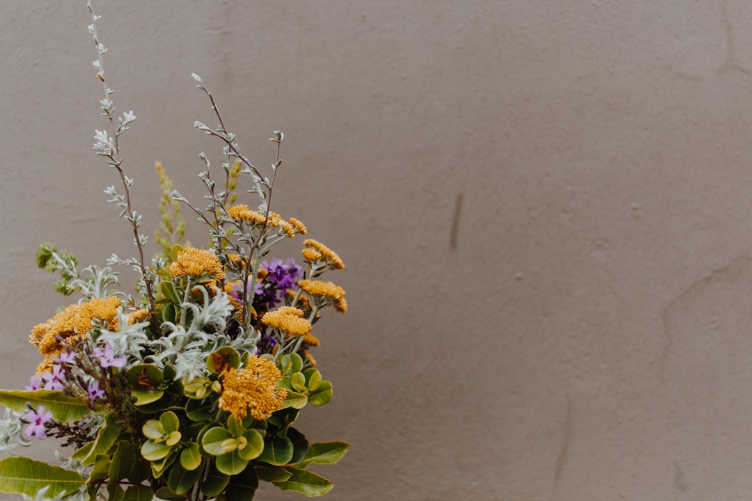 yellow and purple flowers with green leaves