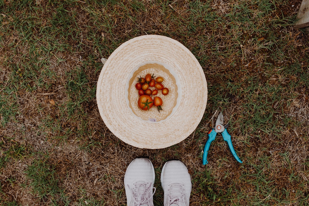 person wearing white pants and white shoes standing on green grass field