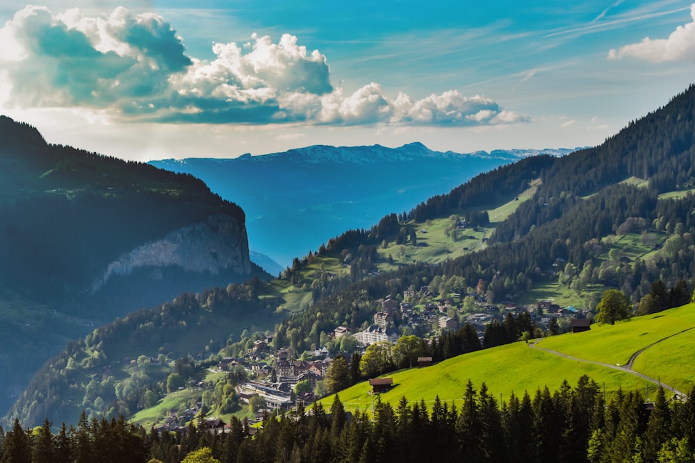 Grüne Bäume am Berg unter blauem Himmel tagsüber