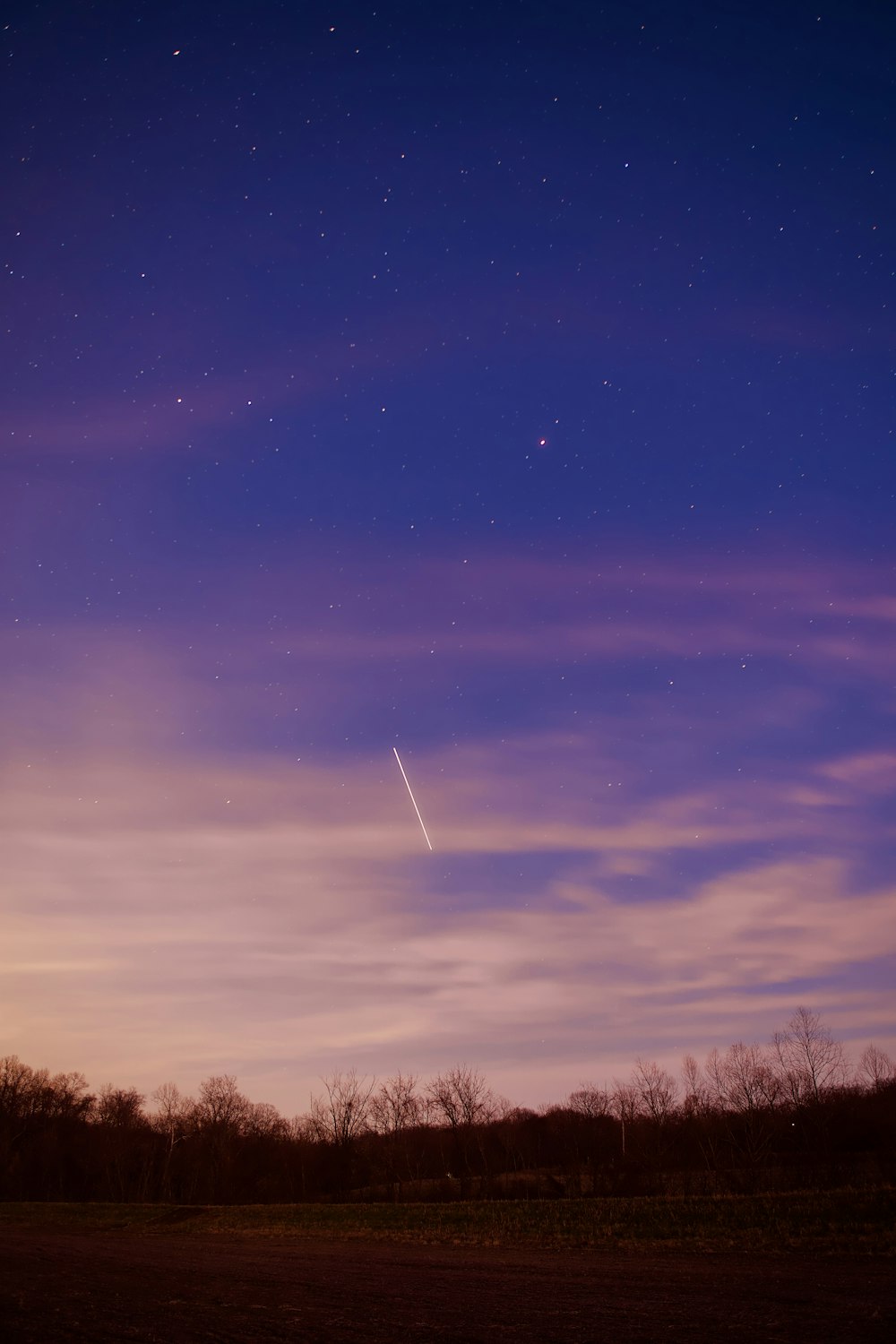 campo di erba marrone sotto il cielo blu durante il giorno