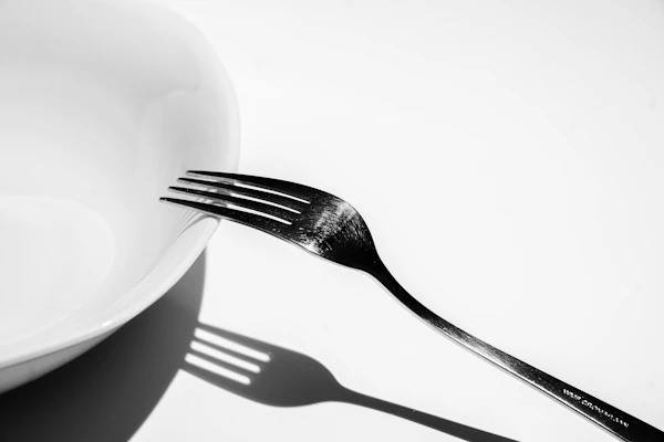 A silver fork resting on a white ceramic plate