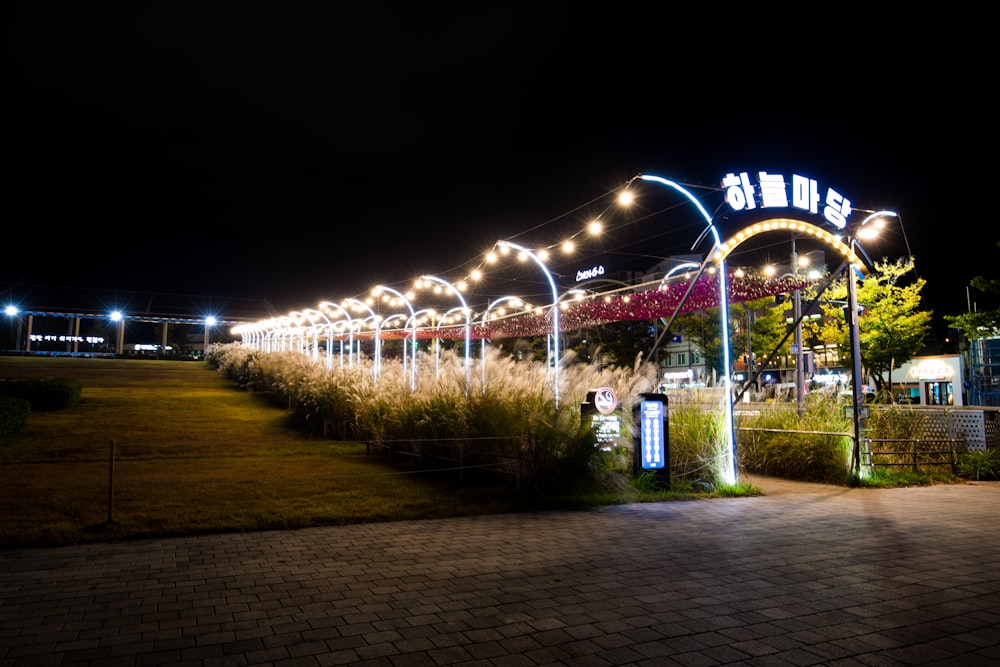 white and blue lighted signage during night time