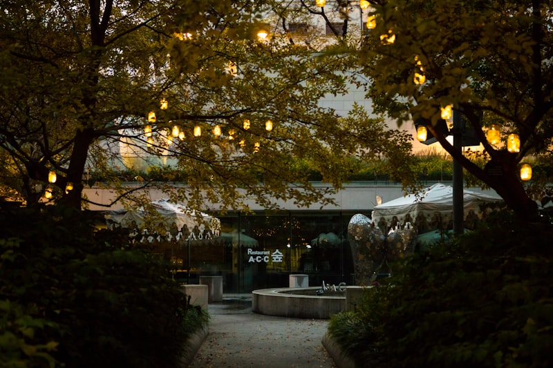 Tree canopy with string lights in a garden
