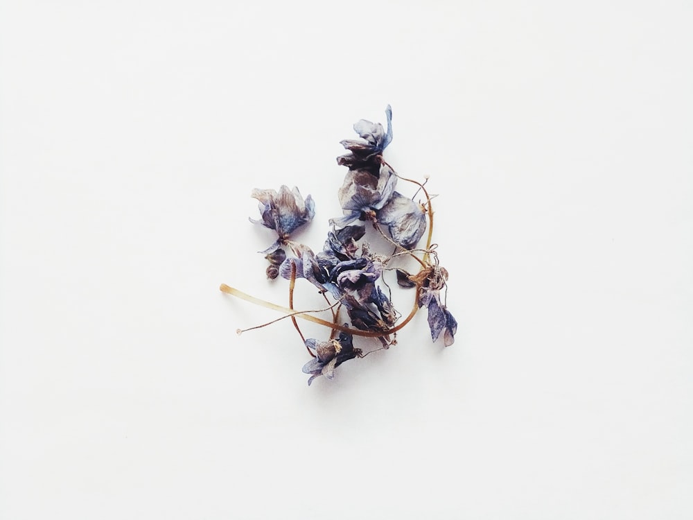 white and purple flower on white surface