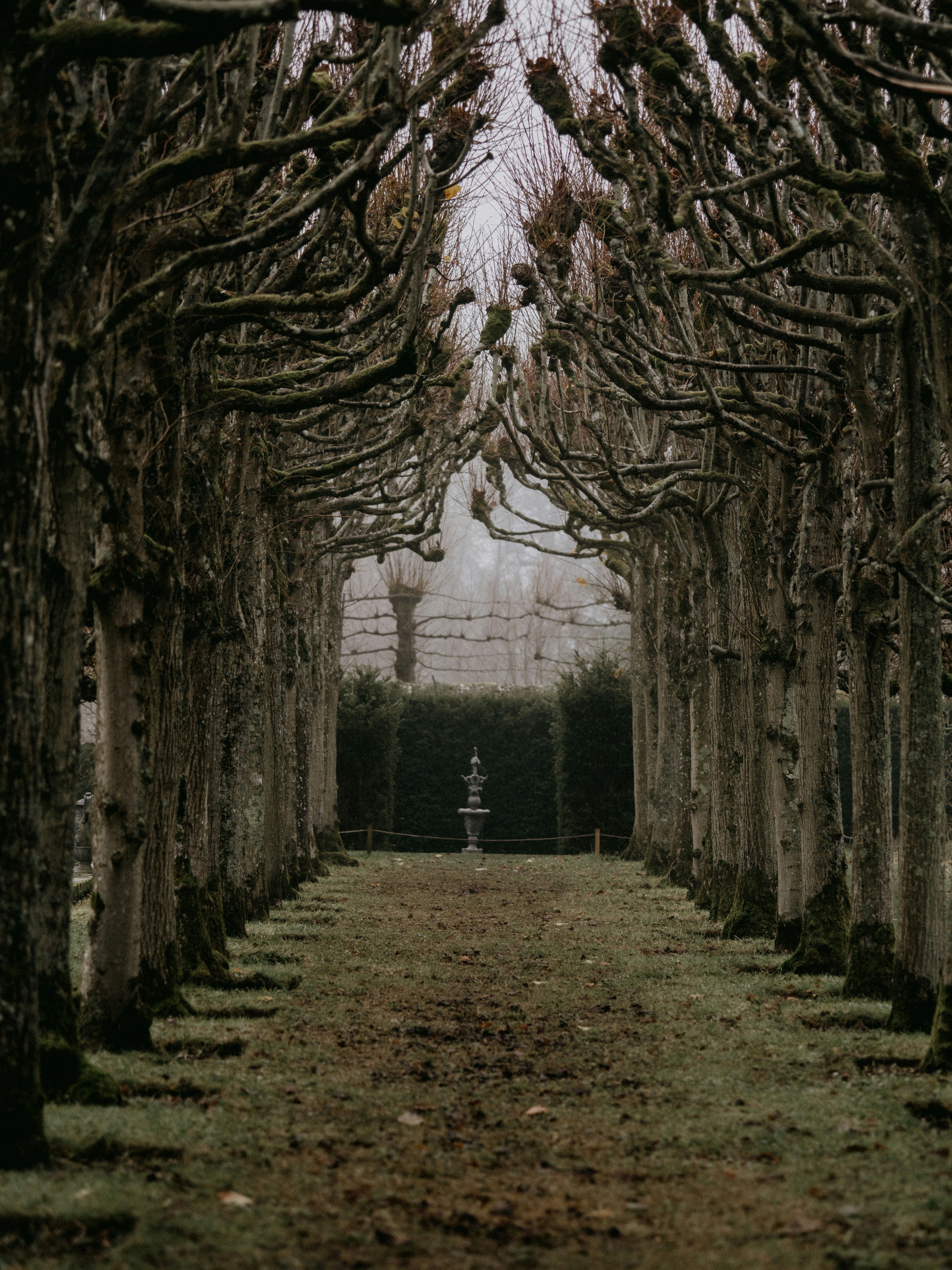 Garden Arch Pictures | Download Free Images on Unsplash
