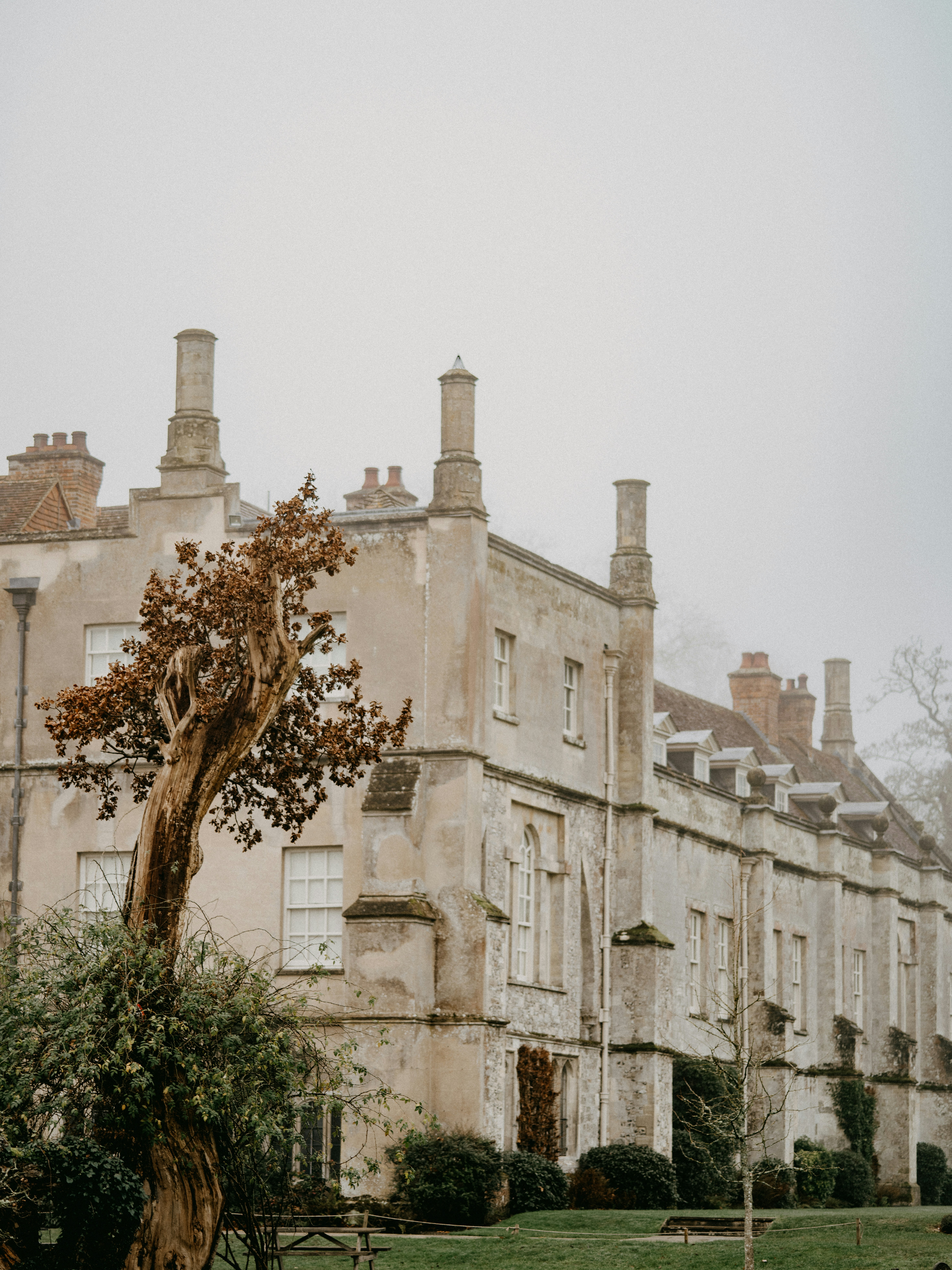 Photo by anniespratt