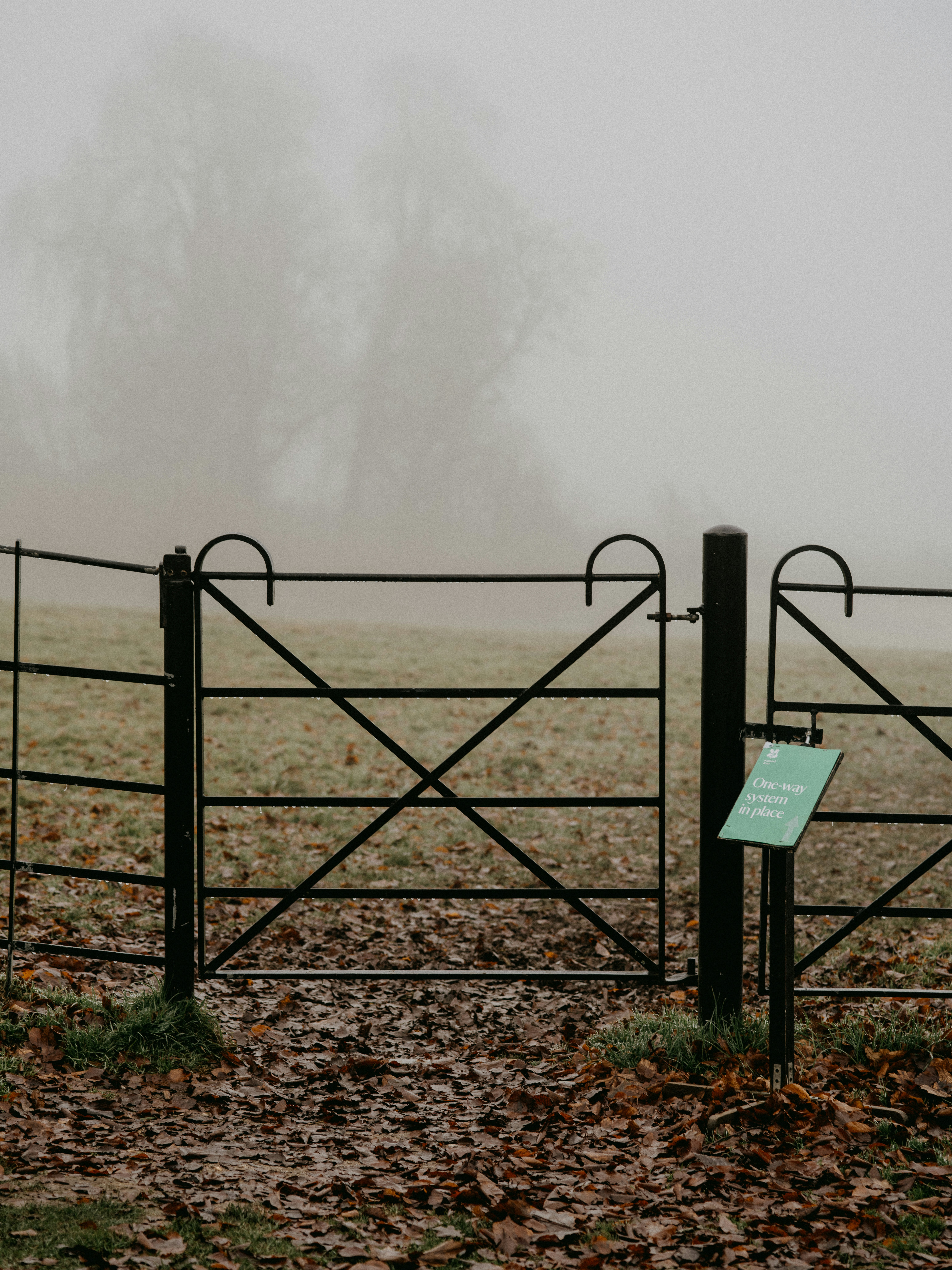black metal fence on brown grass field