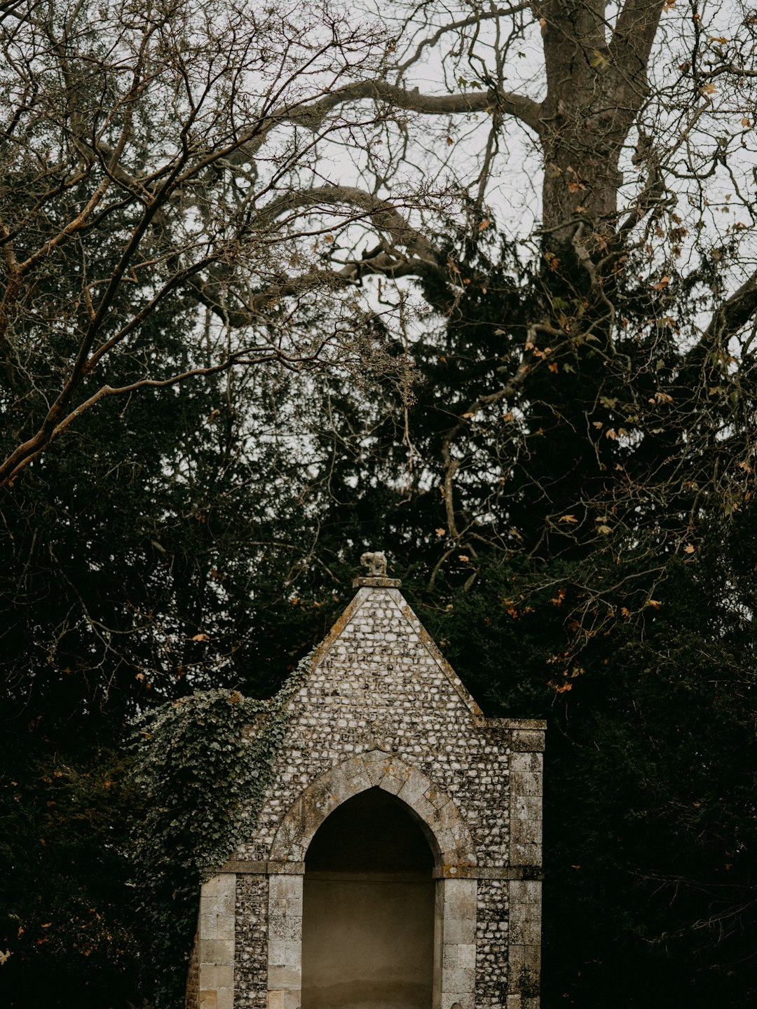 brown concrete building in the middle of forest