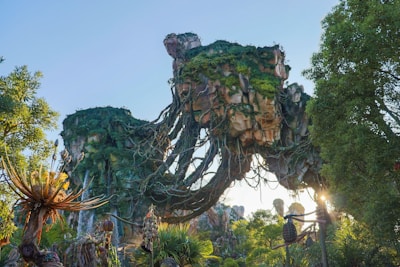 green and brown tree with string lights
