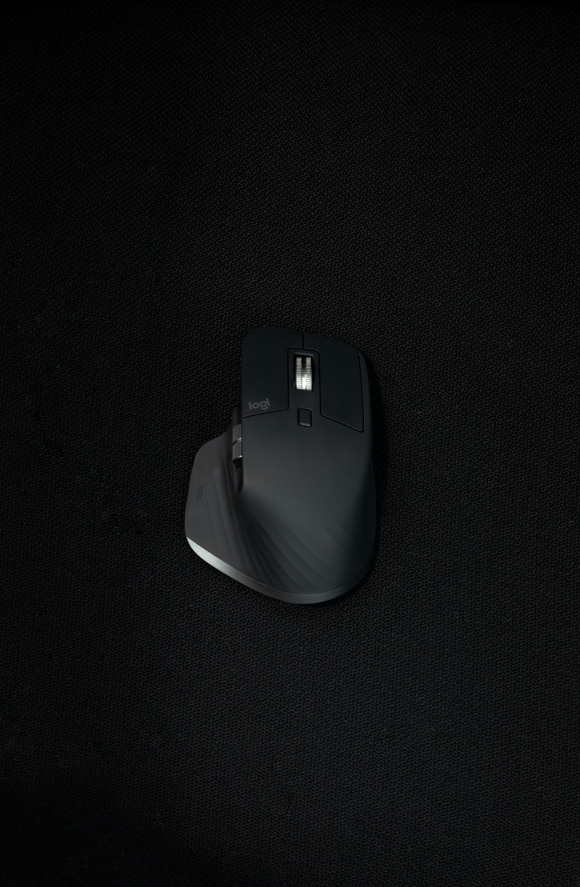 You have to make sure to get a mouse that suits you more than anything else.
