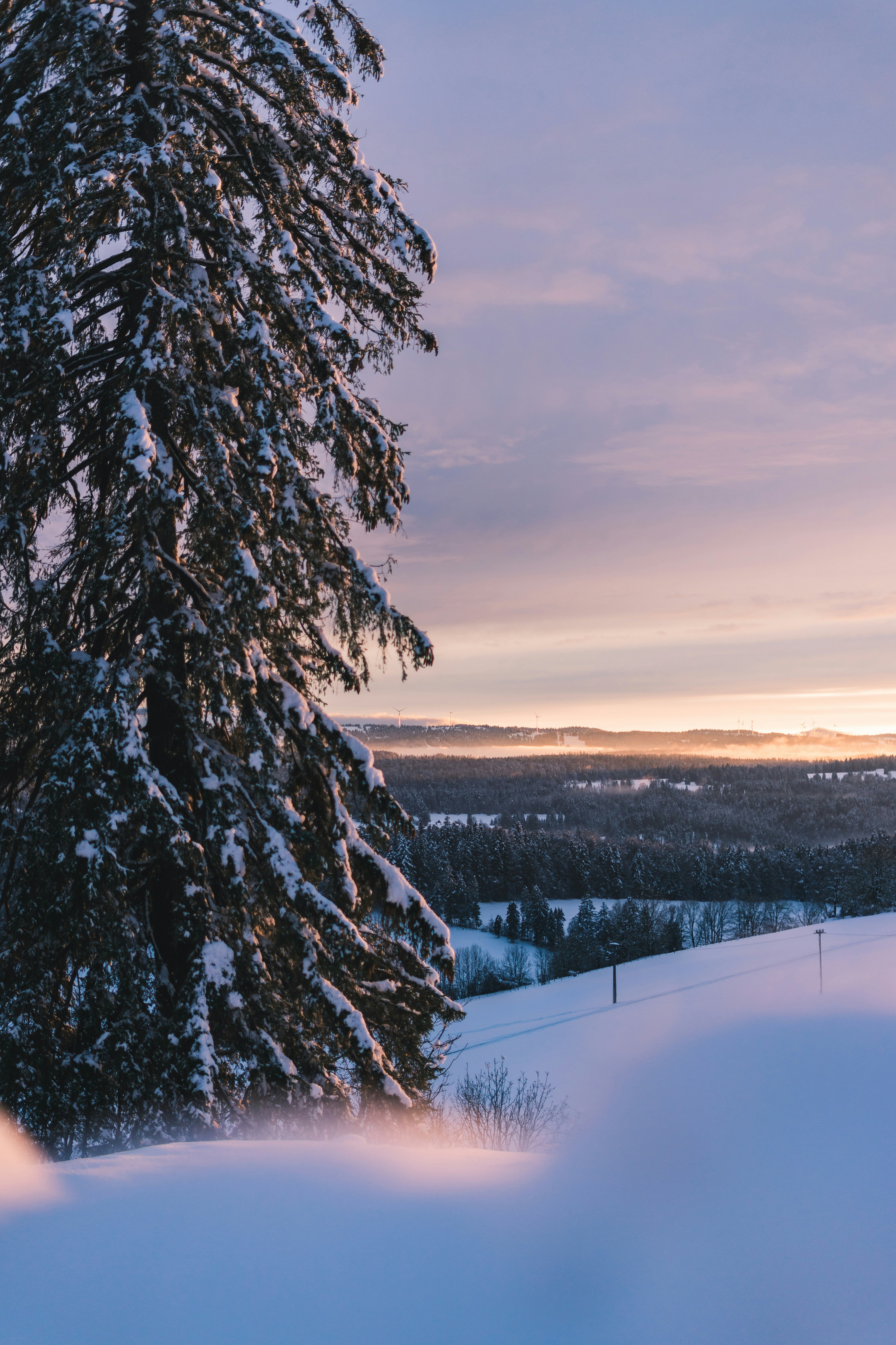 Photo by virussinside