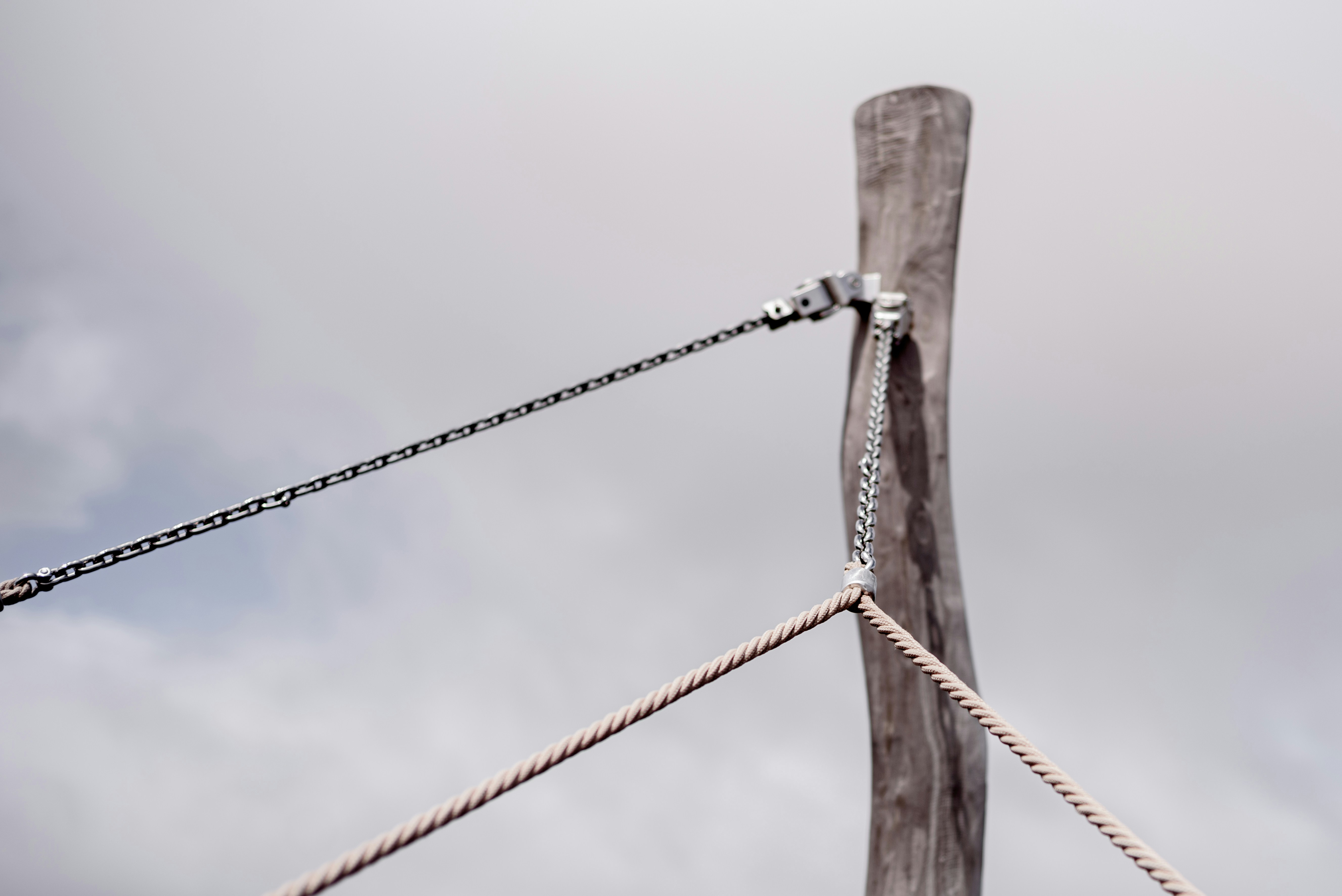 Photo by lauraadaiphoto