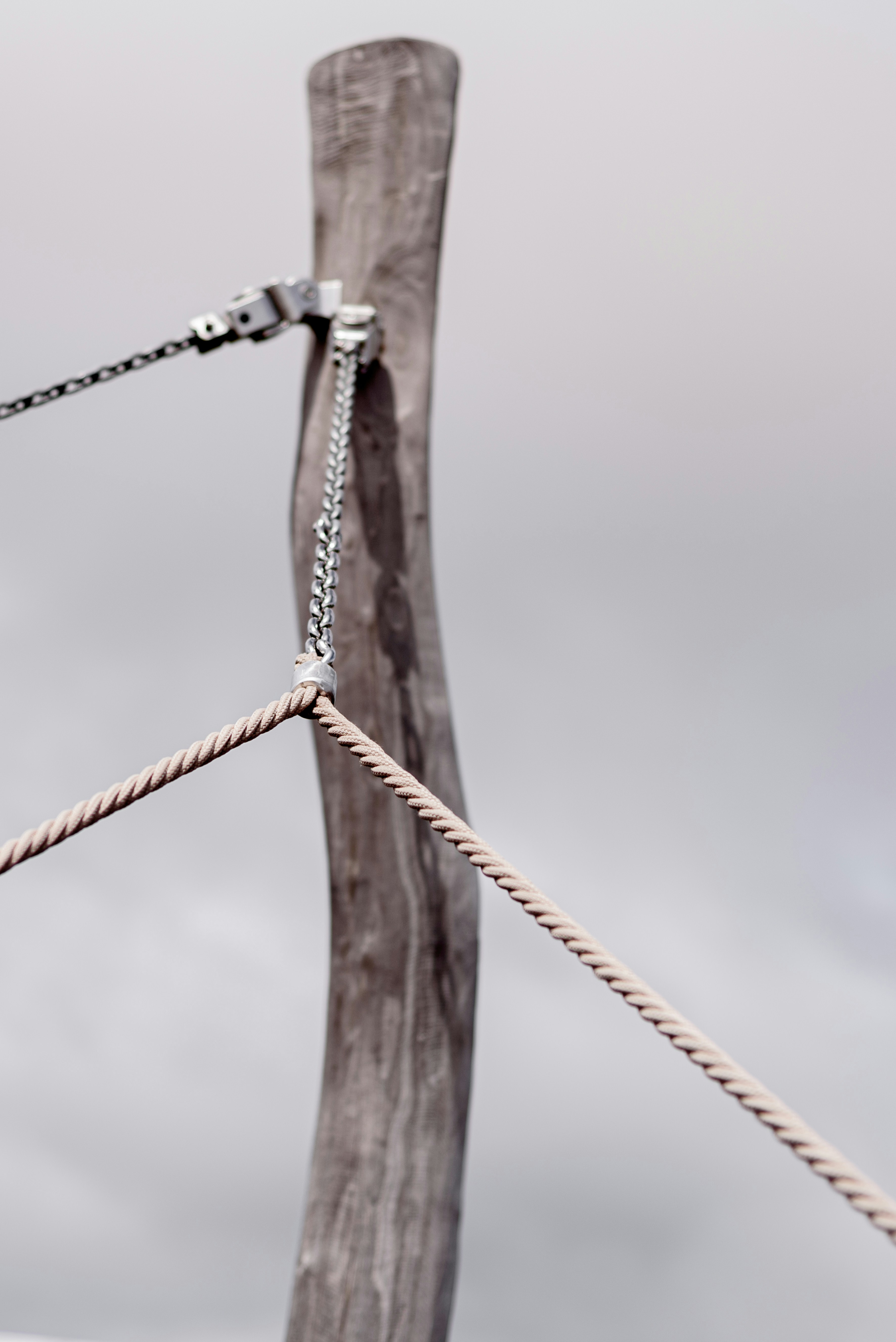 Photo by lauraadaiphoto