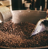 black and white ceramic fish figurine on black and brown coffee beans