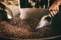 A person is using a metal scoop to handle roasted coffee beans that are being poured into a large container. The atmosphere is warm and industrial, suggesting a coffee roasting process.