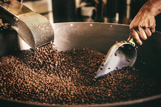 black and white ceramic fish figurine on black and brown coffee beans